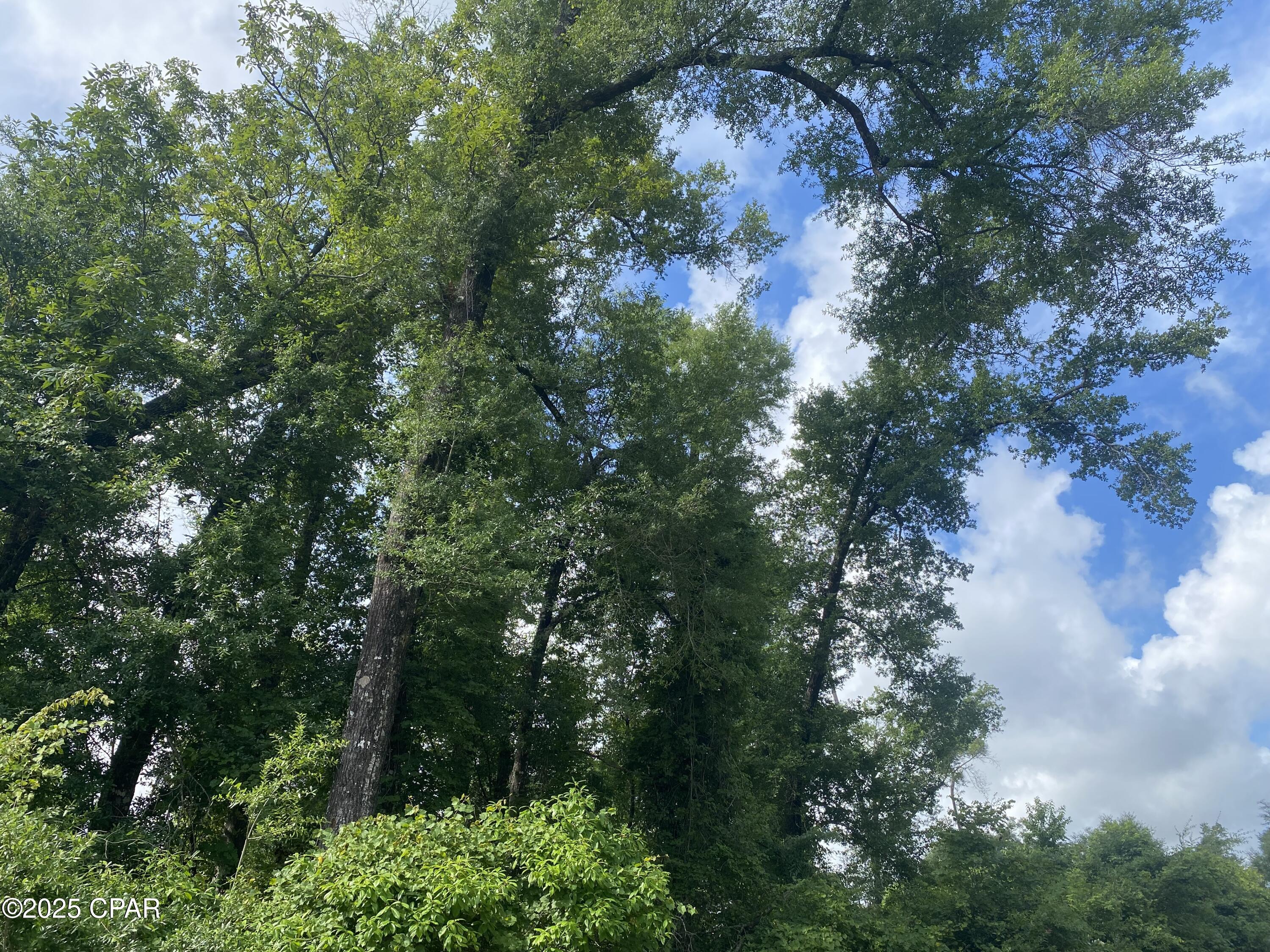 L Xahvncbyoiiutatzda9ehfp7w099a1 B_mhkenwr8