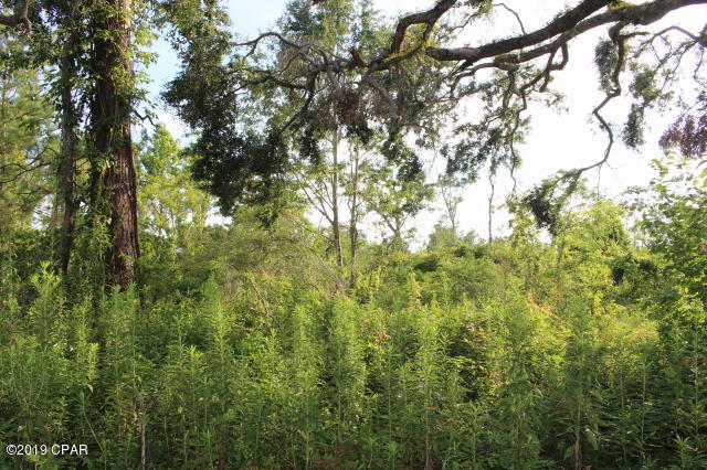 Bpfjbxs55hb1p9cwtukfzl2h5vlghswfmvqc9_wpwdy