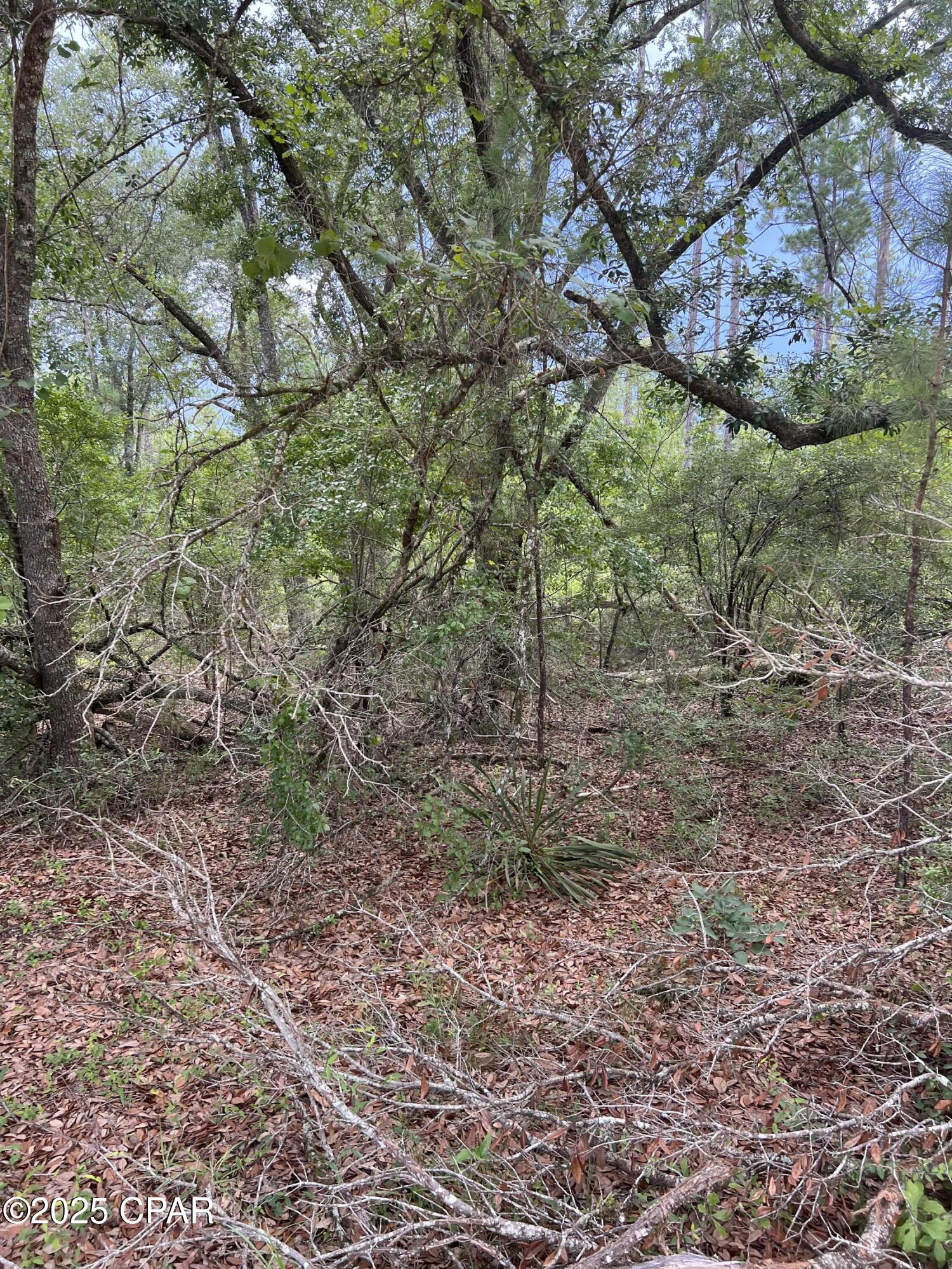 O6pjfdn2vdwhomsd6jnz2hmpbwjqmtn4uqchbttqhri