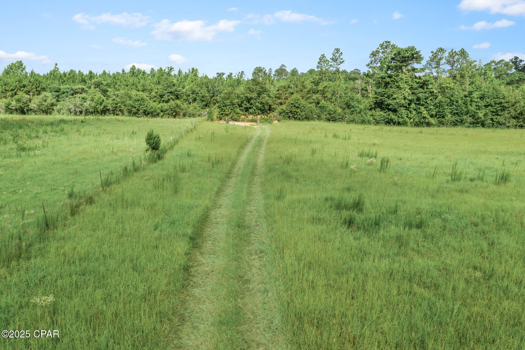 Tnqov8qgodin3p Plpruamaynjlzssv0t3qbtf7ckko