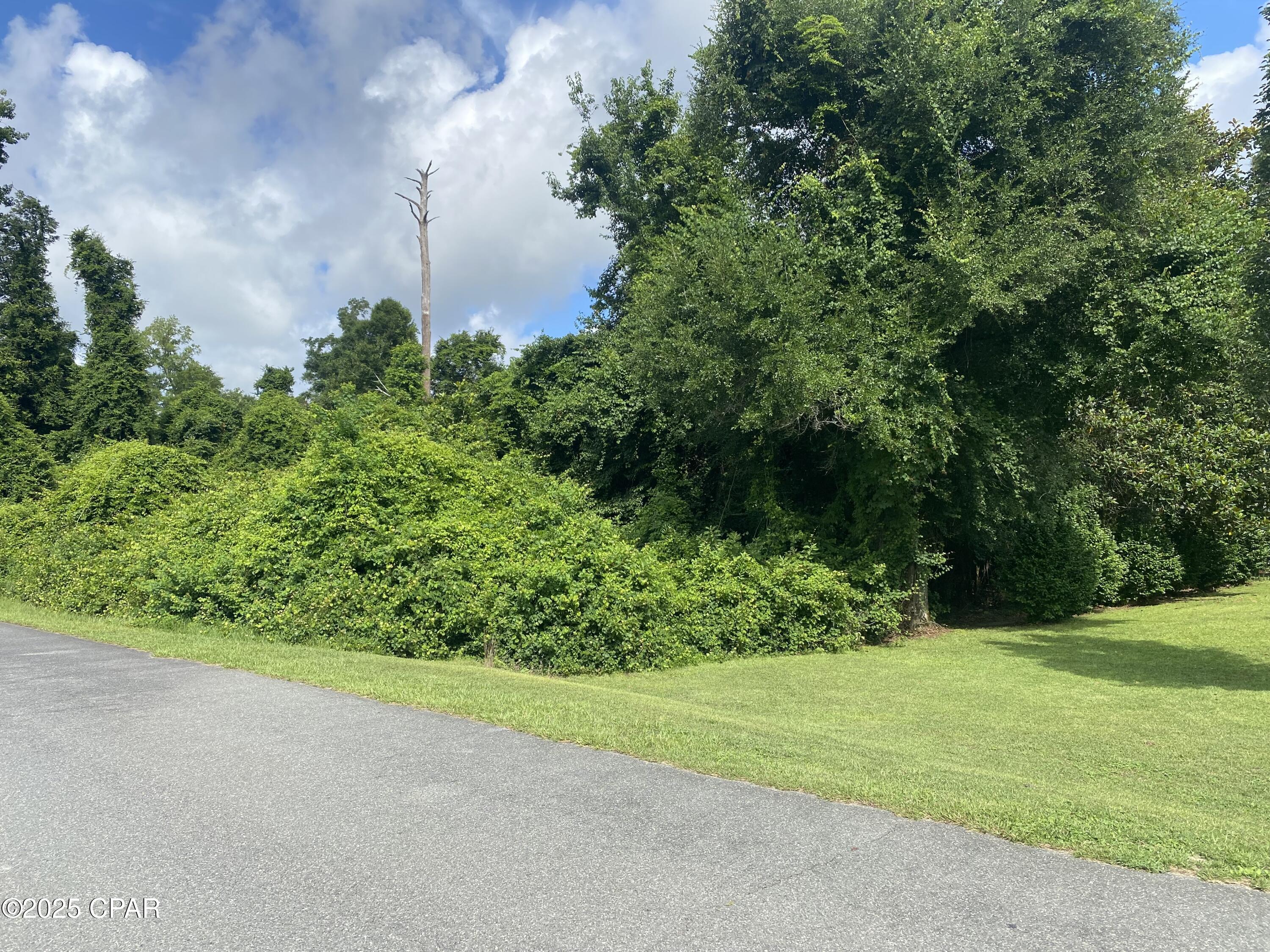 5sax7oyg81oa156clopnixwivfuloe6 Xv2vvgb5gzq