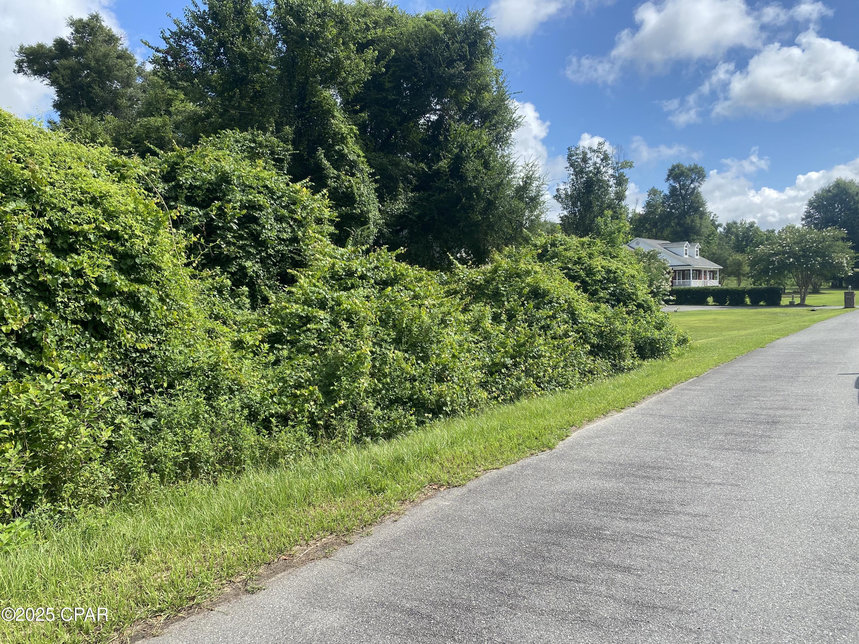 Rmzohuikxadyie0fze2cfz_bgixe68b7iprcavquyla