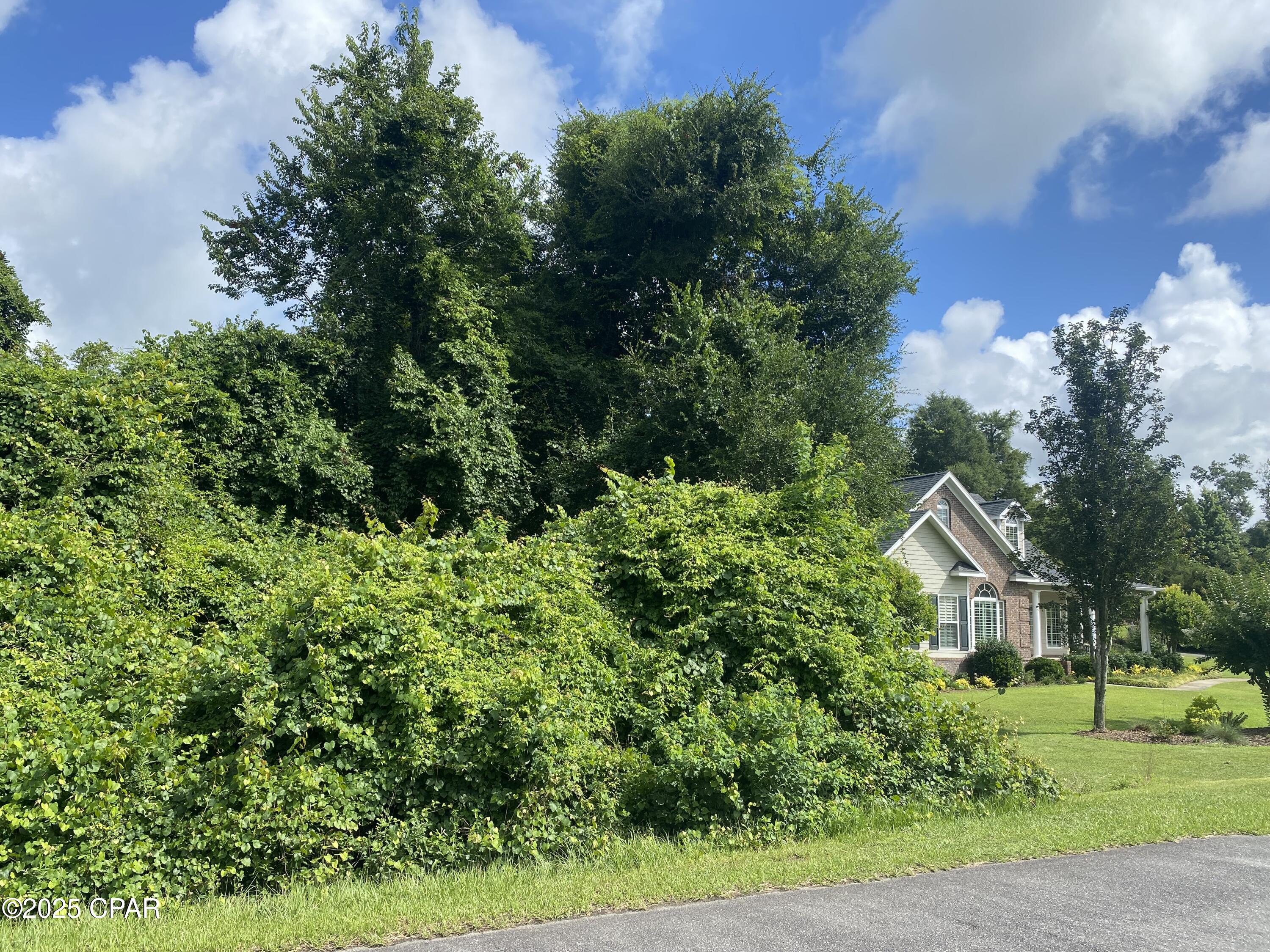 Ymgf0tdlxpmjv Jrnuj1eztvcdgfxkbxa5jd Yaao M