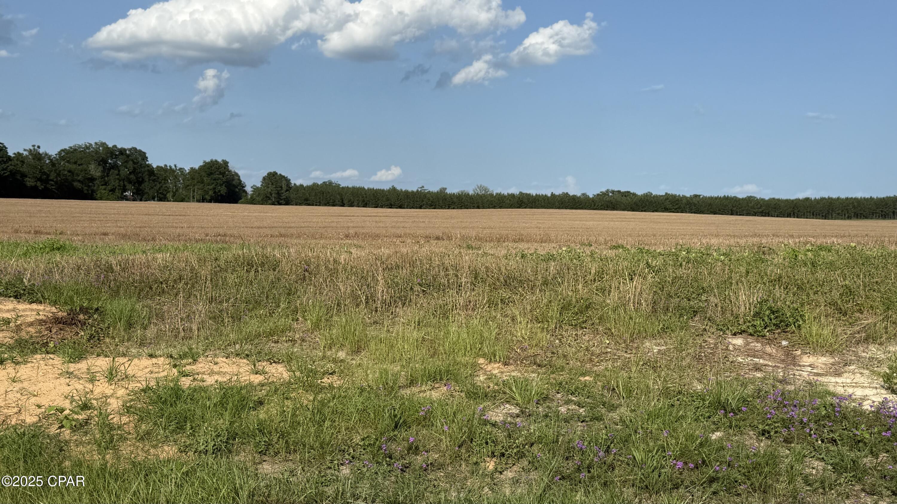 Cze7q82hd4g 48dr2f3qriqbq9wucd8bmdz2ifyonu8