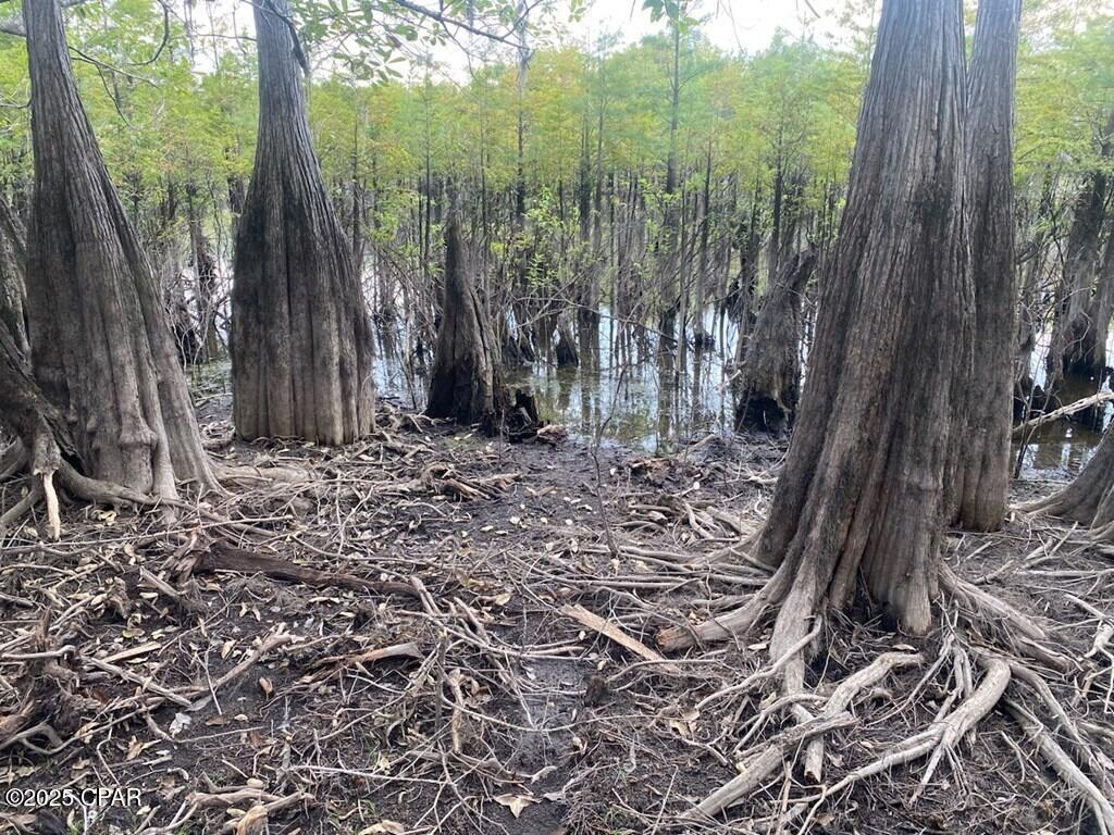 Xcqo6_n7qwwoa6jyagfw4par_v0carew3qpxkt7yfv8