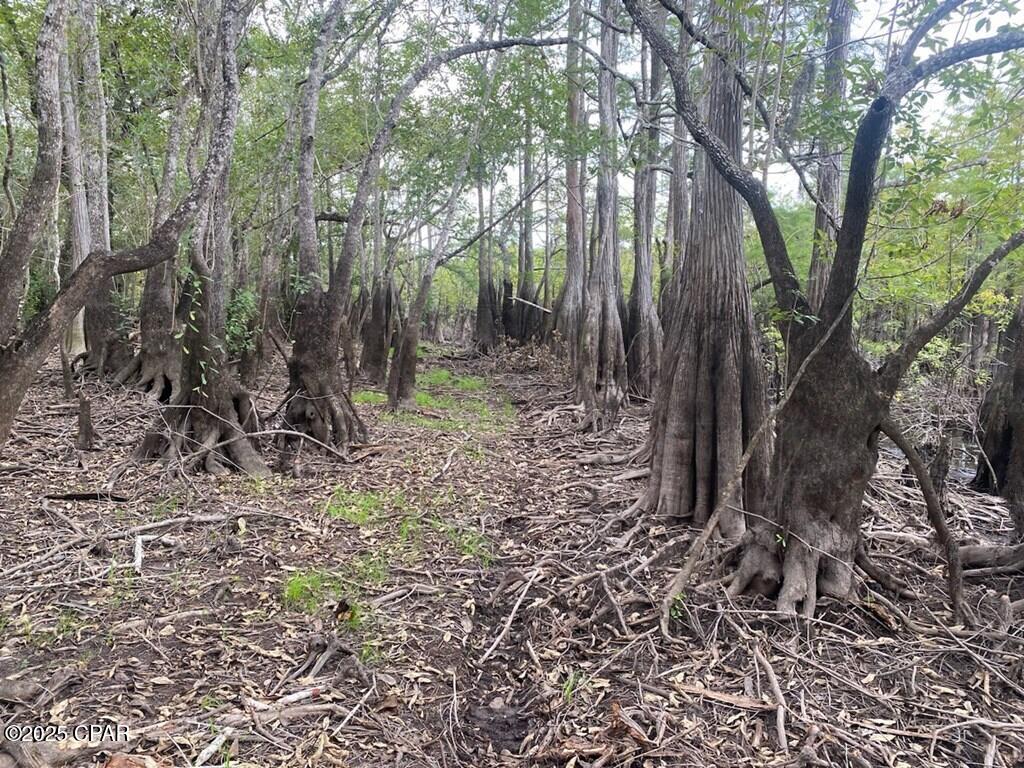 R95tznfziy5swkpf5nc0kcr_rp5phjtyn04akijtoai