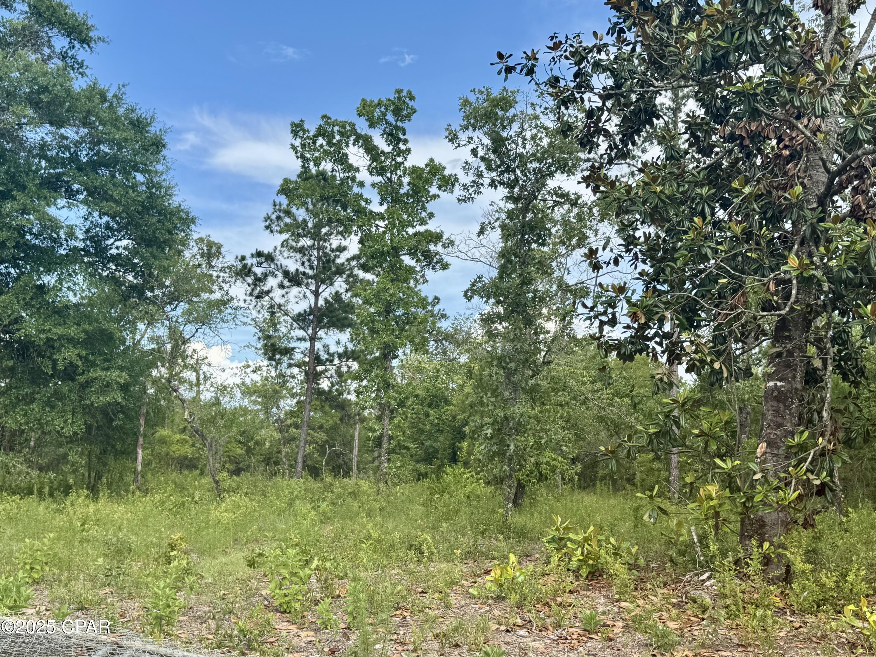 Eyhldgtftvuc6658ab5jagyku_csdgrmlwsmaspcuxa