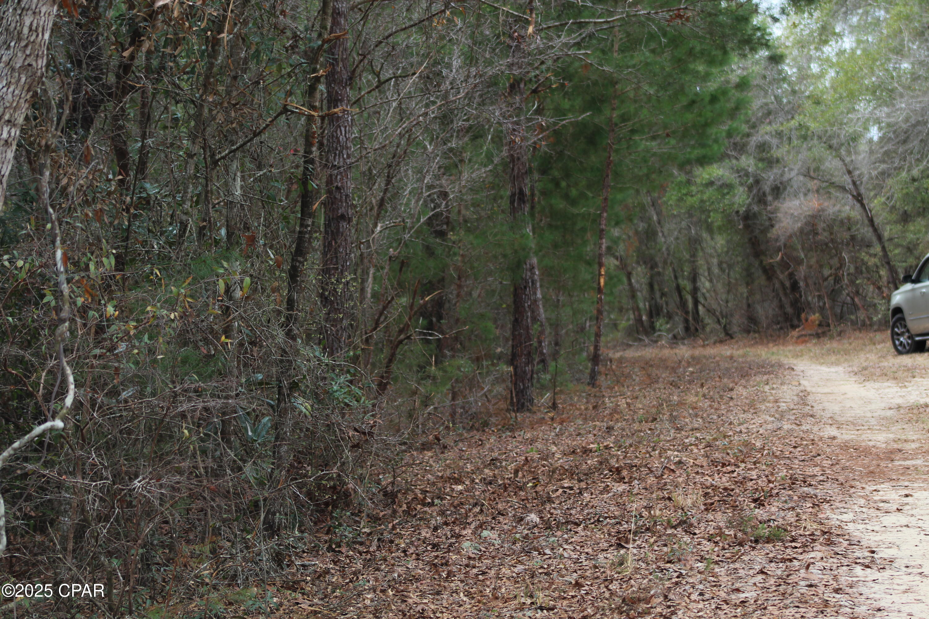 Pstr7ac6vwf6er3uxrx_sjpvb9lr_medvwsia32dp4c