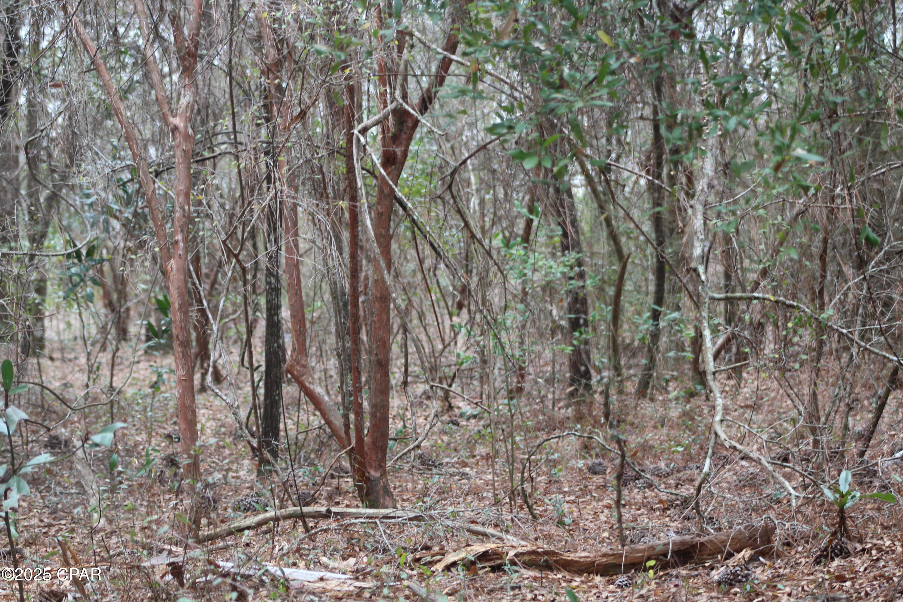 3u1nacxmre6xprbou7sqhjvhkkgpwmq92zdiarqnulq