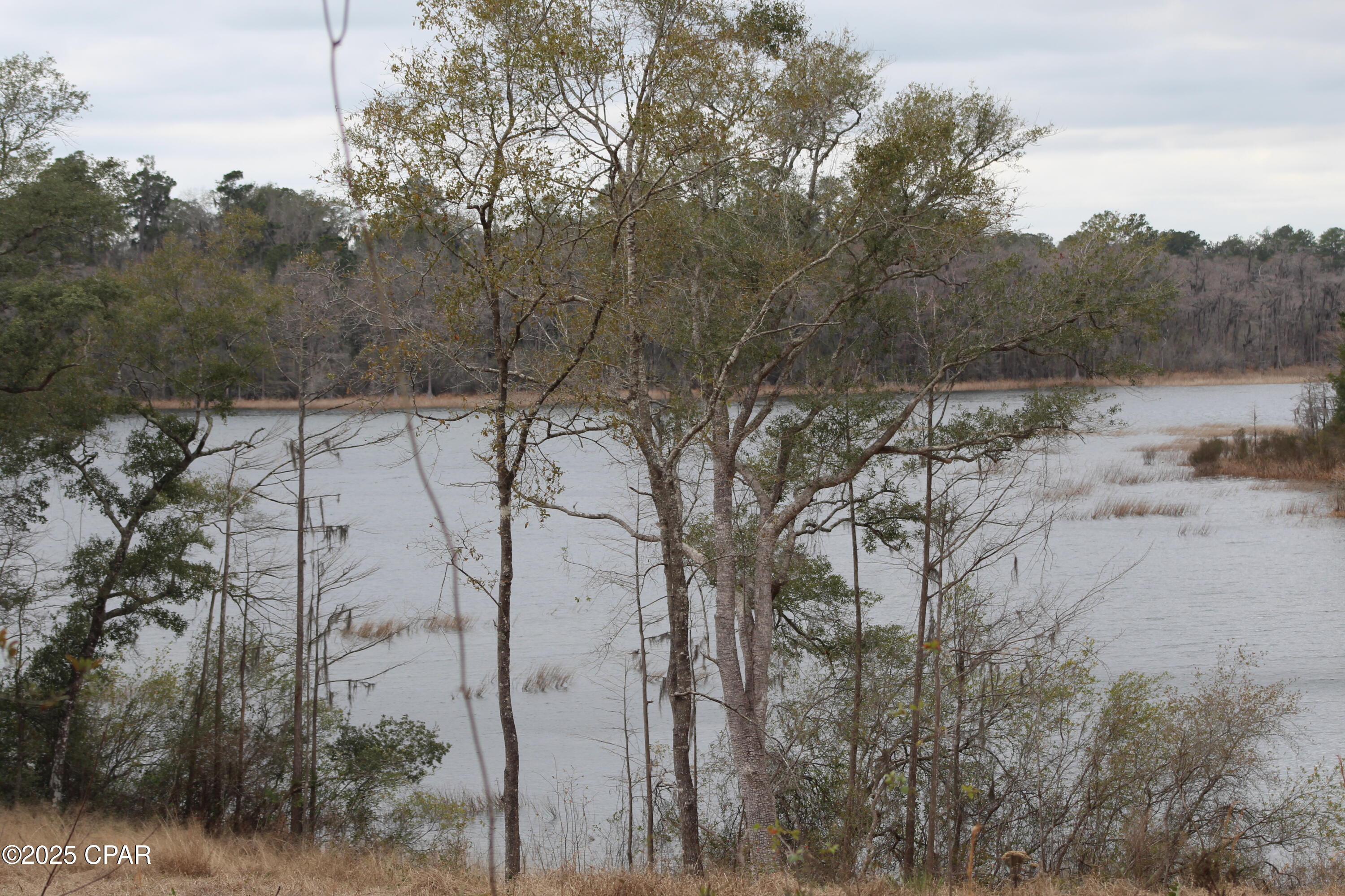 S2yf7nib1 Zzr98e5oancbgad8q6mz8yvgnw7o4dh6k