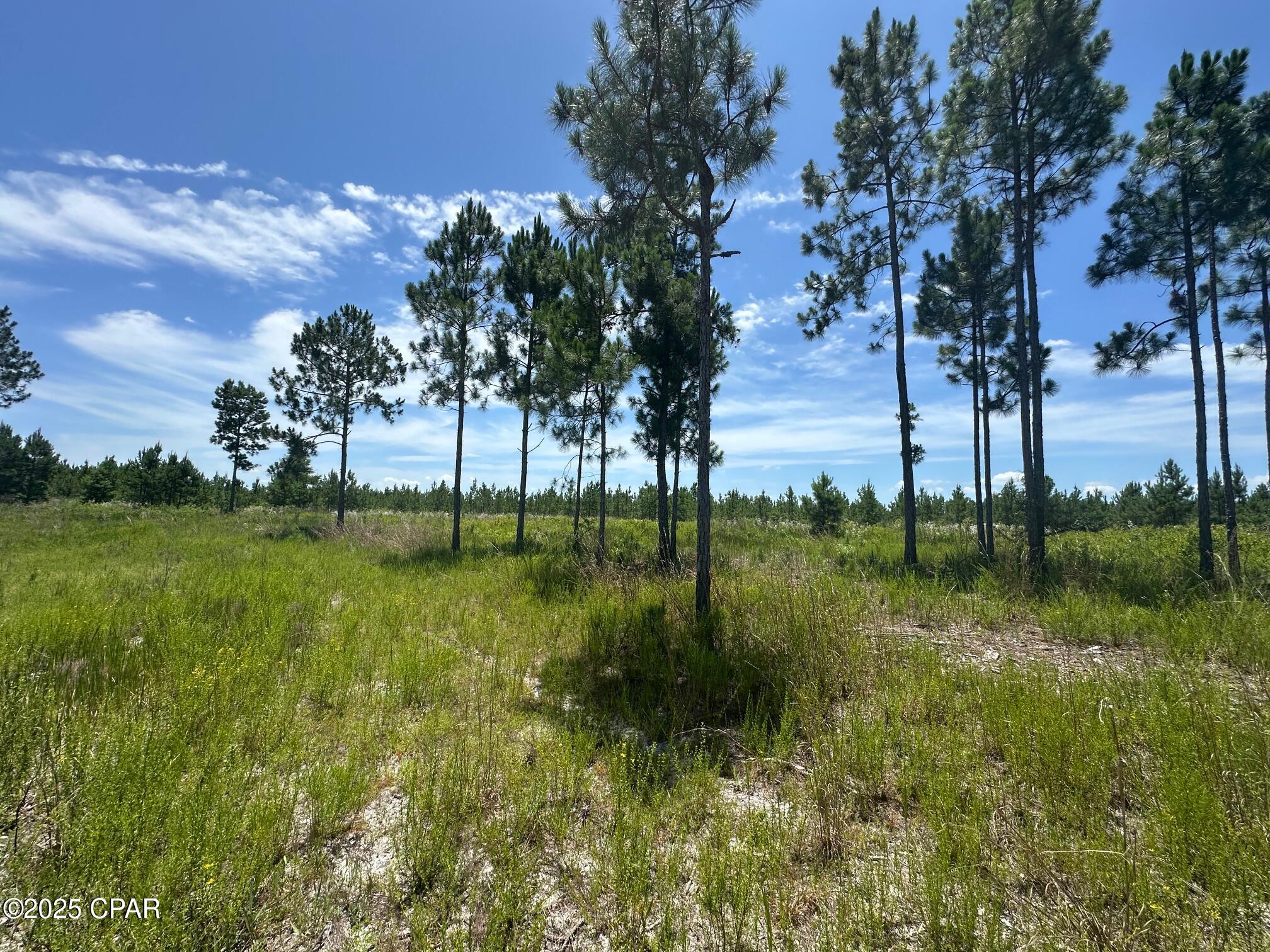 Nj2rdlgh2skudl60j_ed_w9bkysht8xqqlasjzufuzc