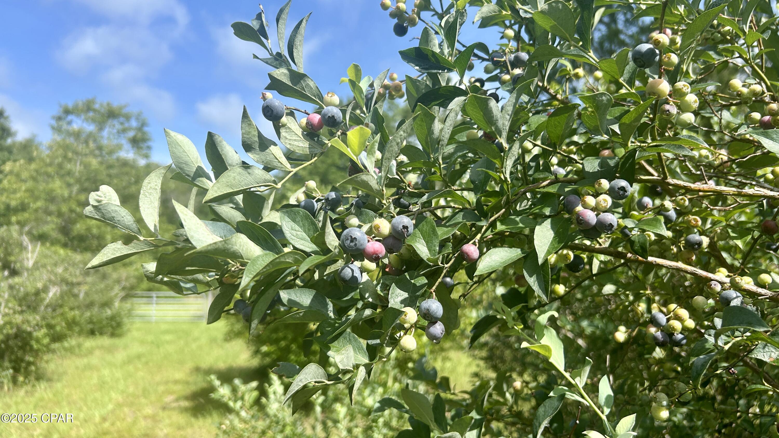 Ru2pfhkhcddm3nzzz2imxhqbzyrrqemmgzgia3hvfqw