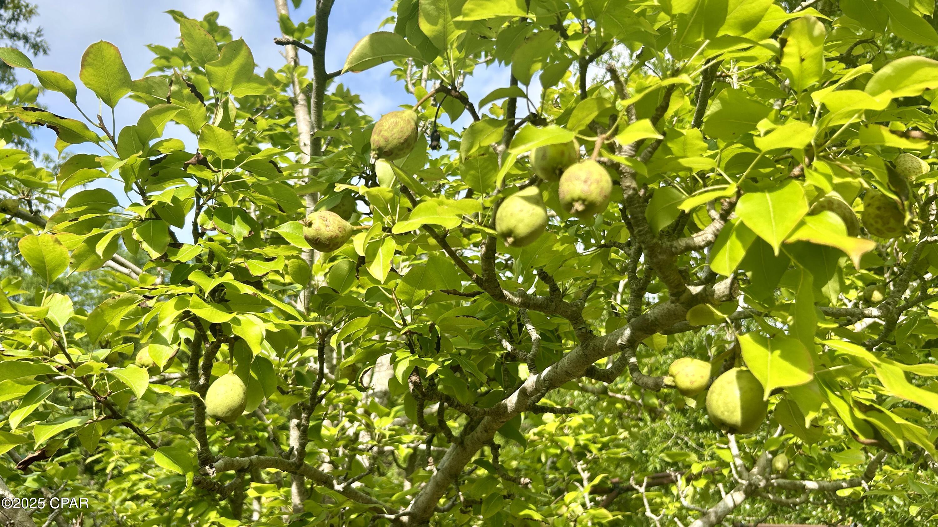 Fftsb5wrzmmuuxipjr4n Jiikgq8ikngu4tra6ky38w