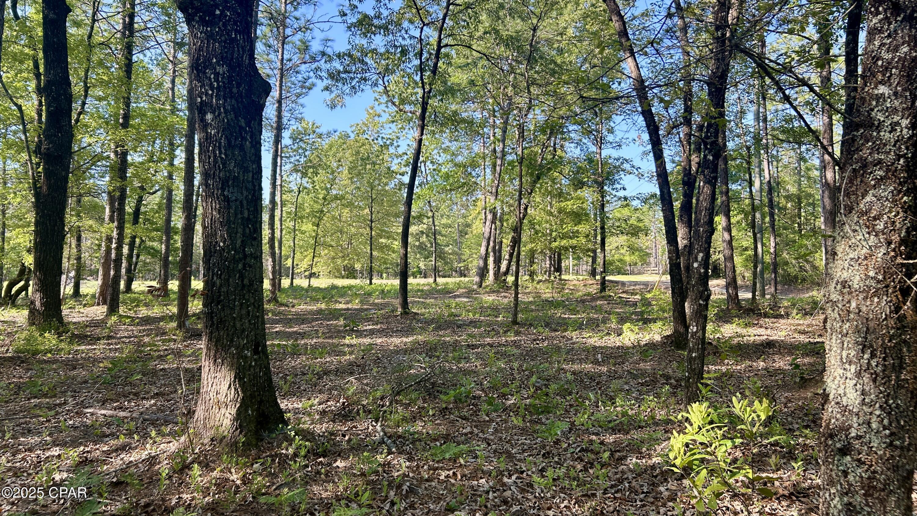 Q_5vjkdu3gwbut6z7nxrfkwt6mucss3lc3s3hstf6co