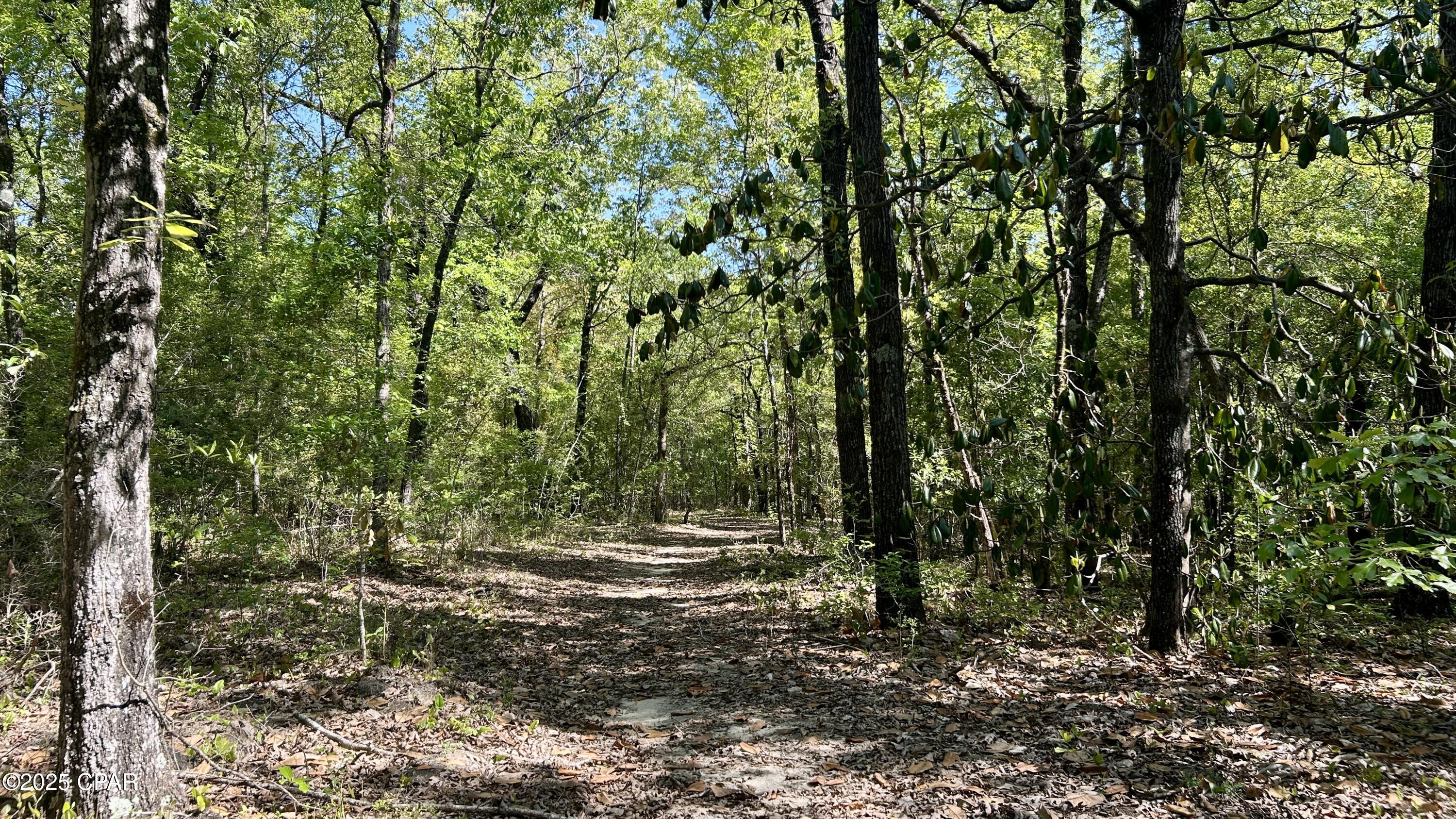 Image 54 For 4264 Cleveland Road