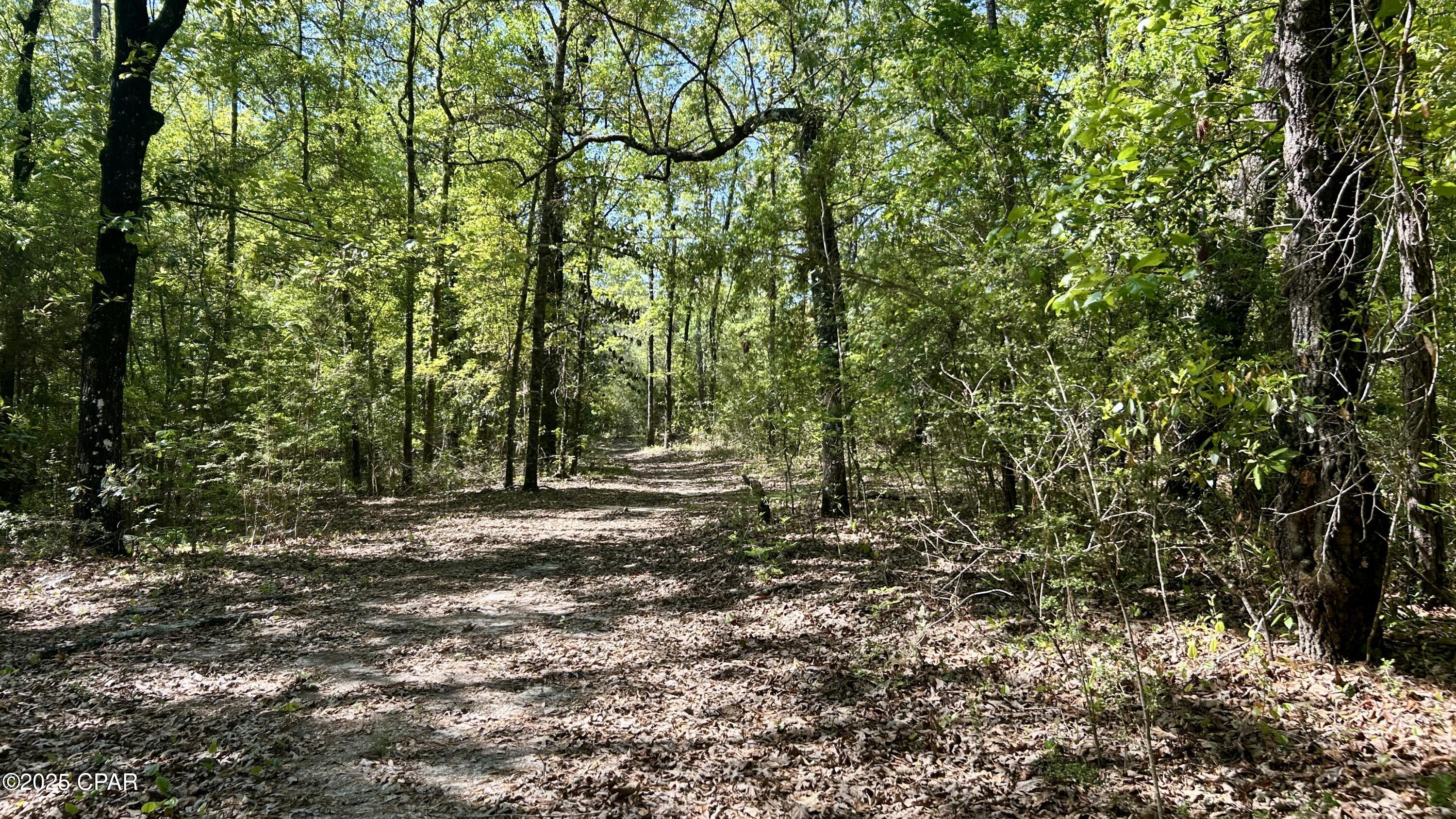 Xt7z9_kmeiiynwqvsge5 Gyuzgb9ts4pddyxuacwlby