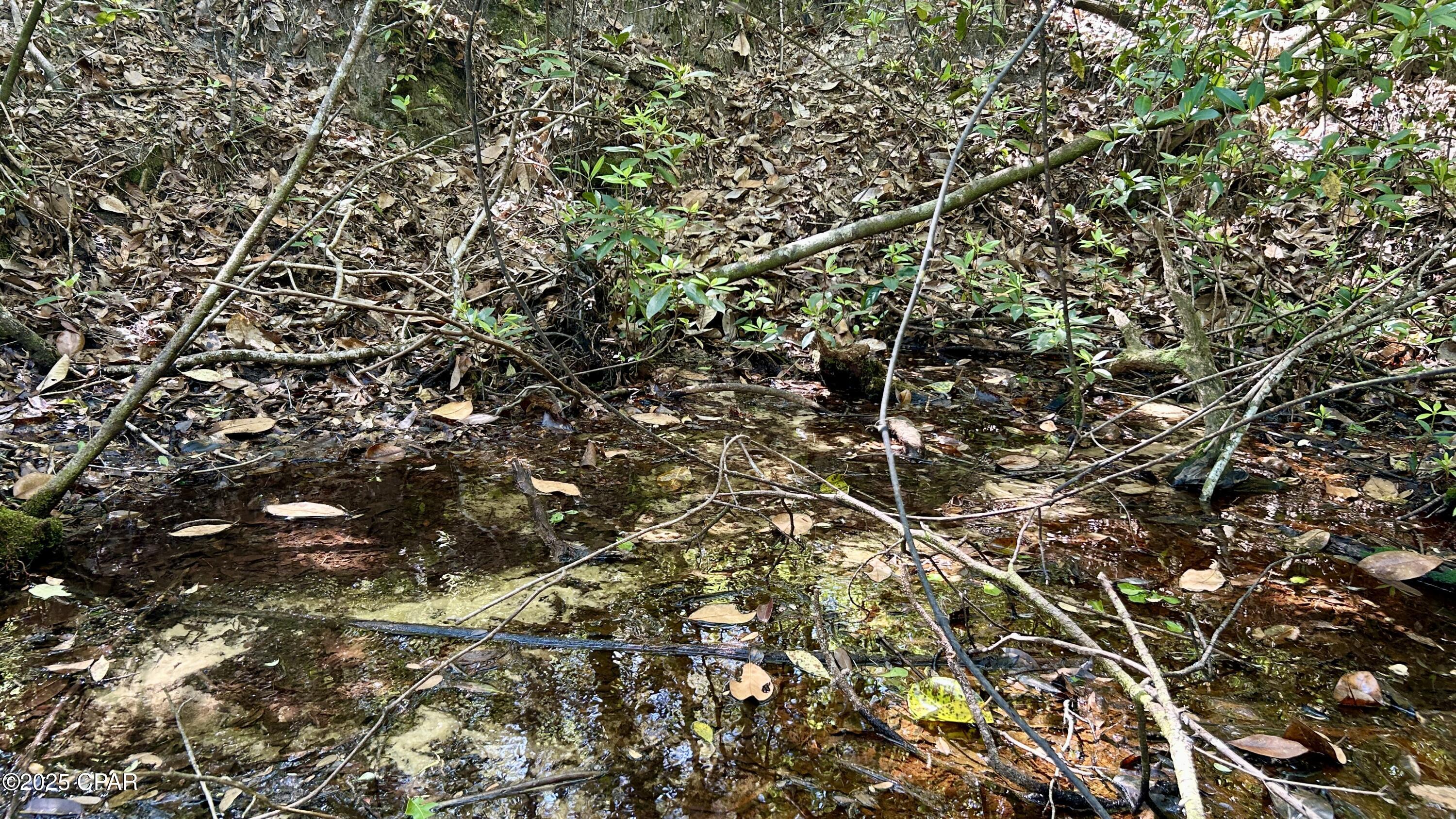 Fbgtccprs7m Omsx1909yulisftmtkf6_ao3mehzezu