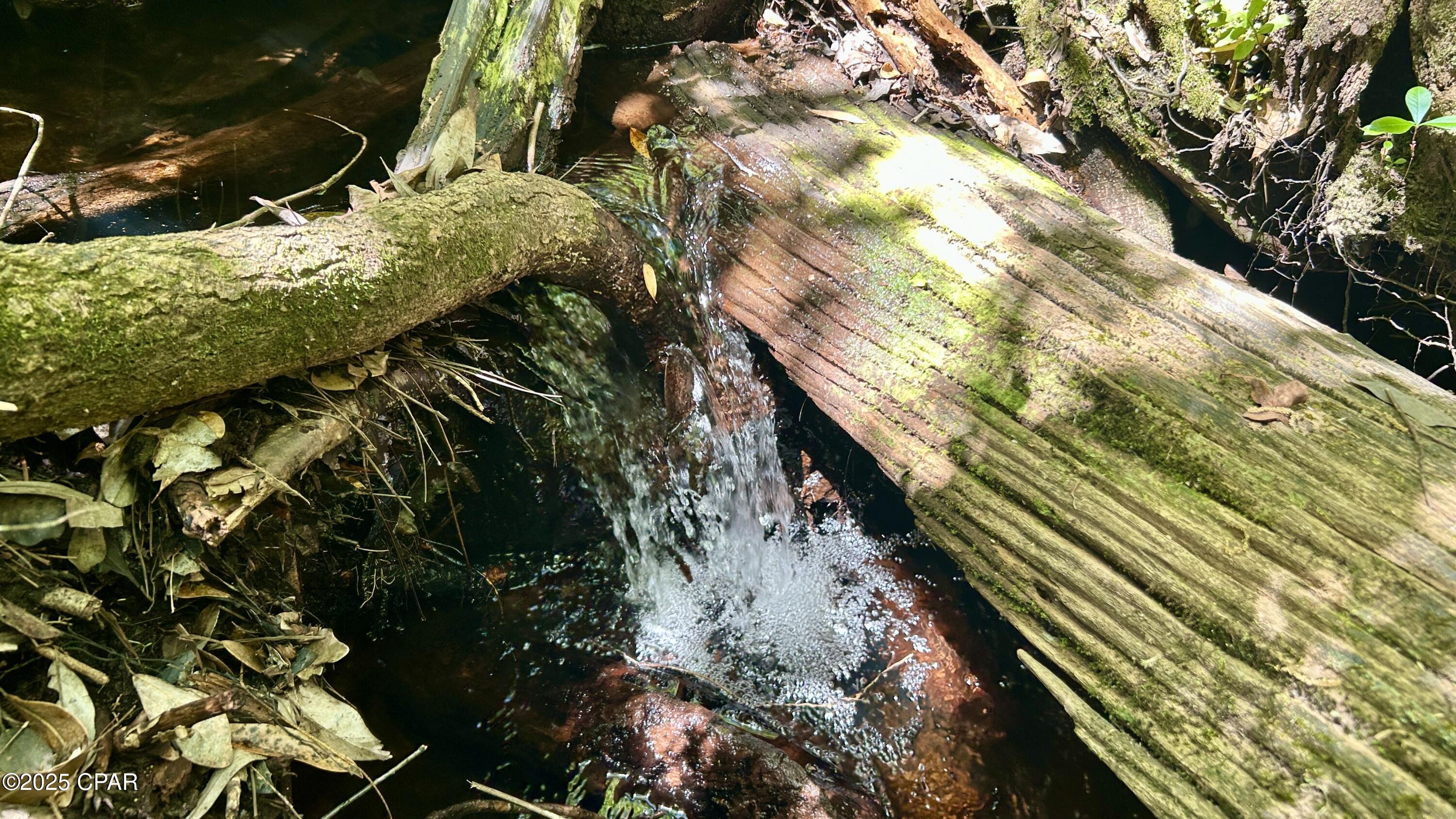 Image 61 For 4264 Cleveland Road