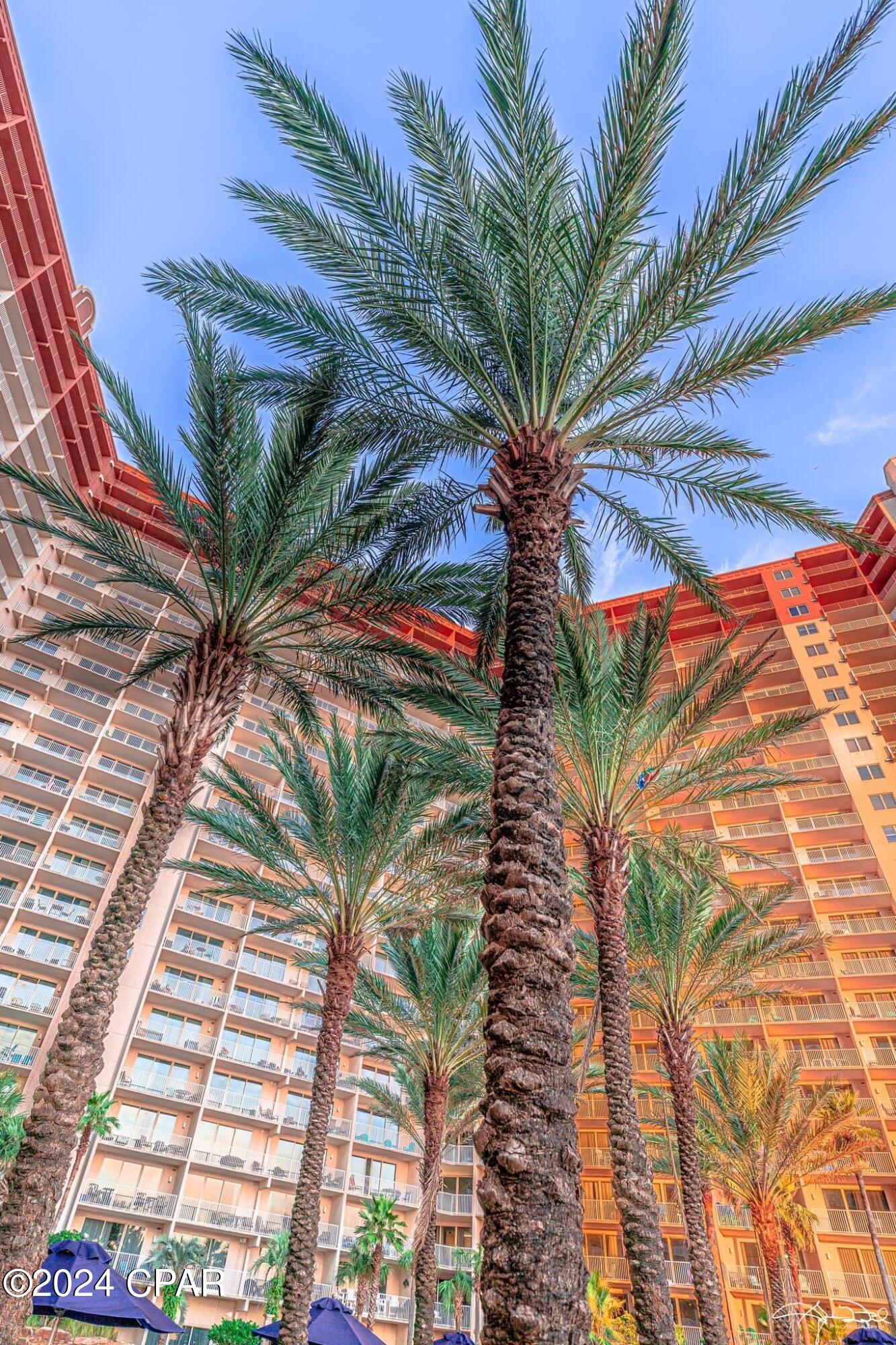 Obsnmnhjegyha9kxkog5svwehqiih6lzhof6pymjwey