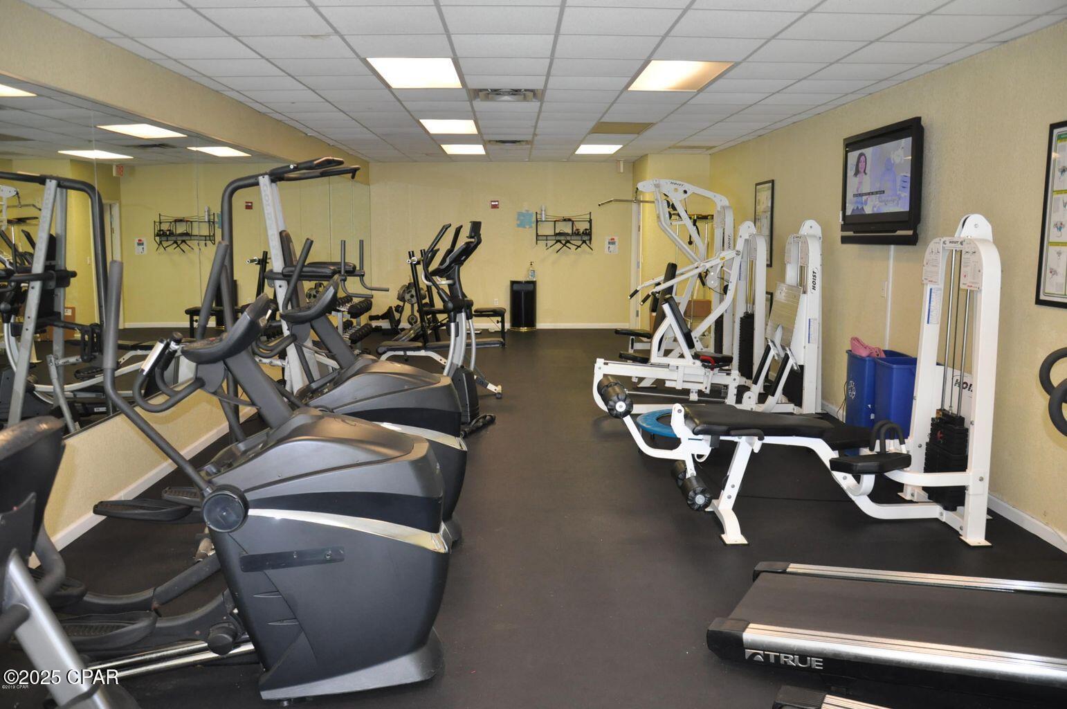 Vtrpfdc1fk4rspfishtmlvxqwifuooo3fchn8hmxtpu