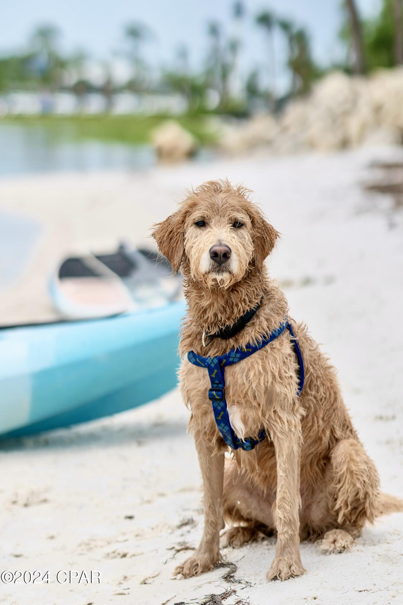 Onwlk3otrgdxjwxrhn2r_ar1reeebogo4lkyadpzvi8