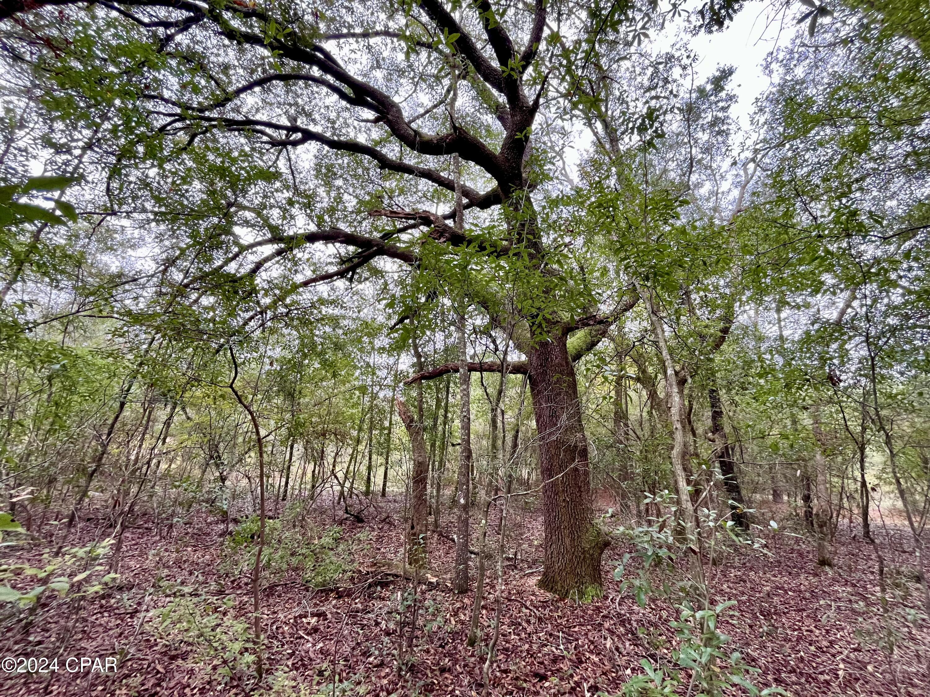 Sfrwfsr2fczzbkbfj7kfjkg4j5xpgimtia8uxzstvnw