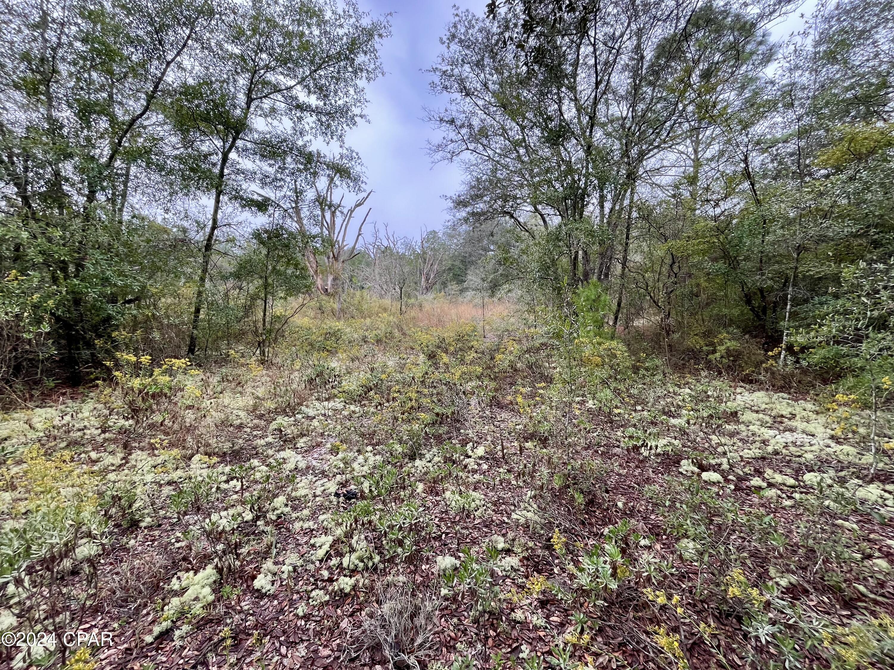 Adx1hflfeq0ccszxeli7lpods8up7la2hswokcz2nlo