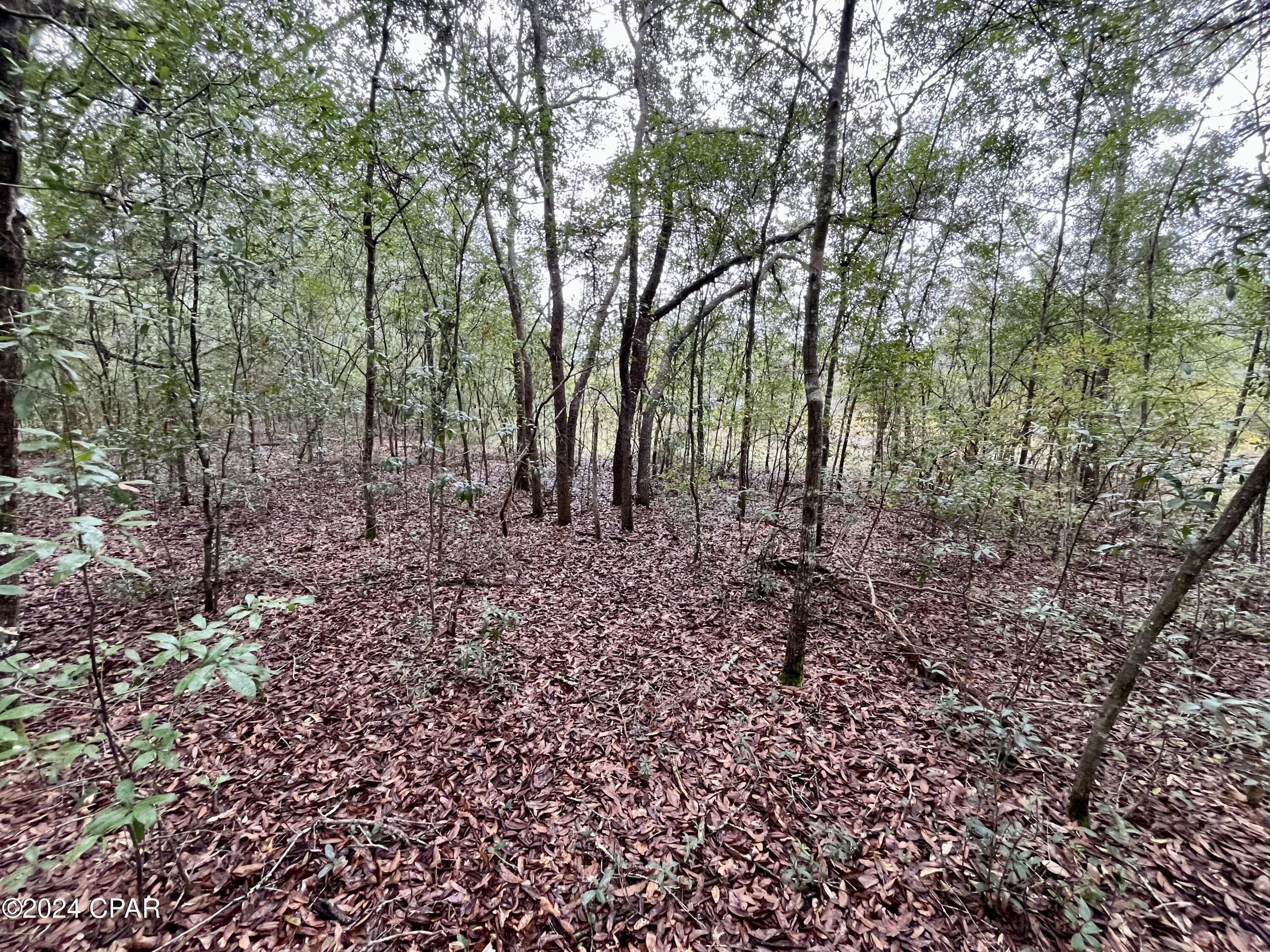 See2 Ugsyx2u36uvxfhcvwovt58mpmk4 Dszmhmvnne