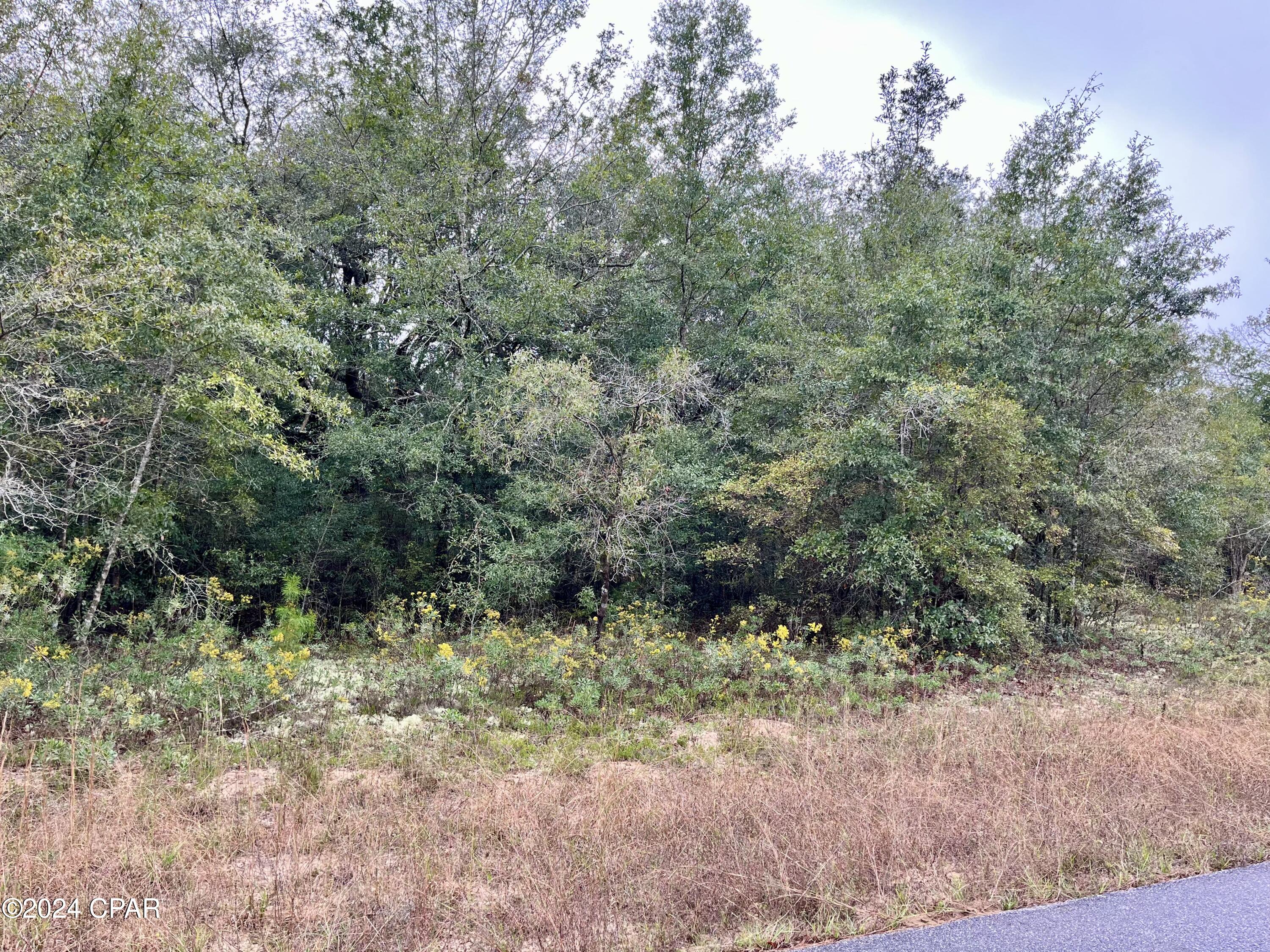 17qmp8jtb6sobuttnhwbwx9artmemw8xvjgds7vef04