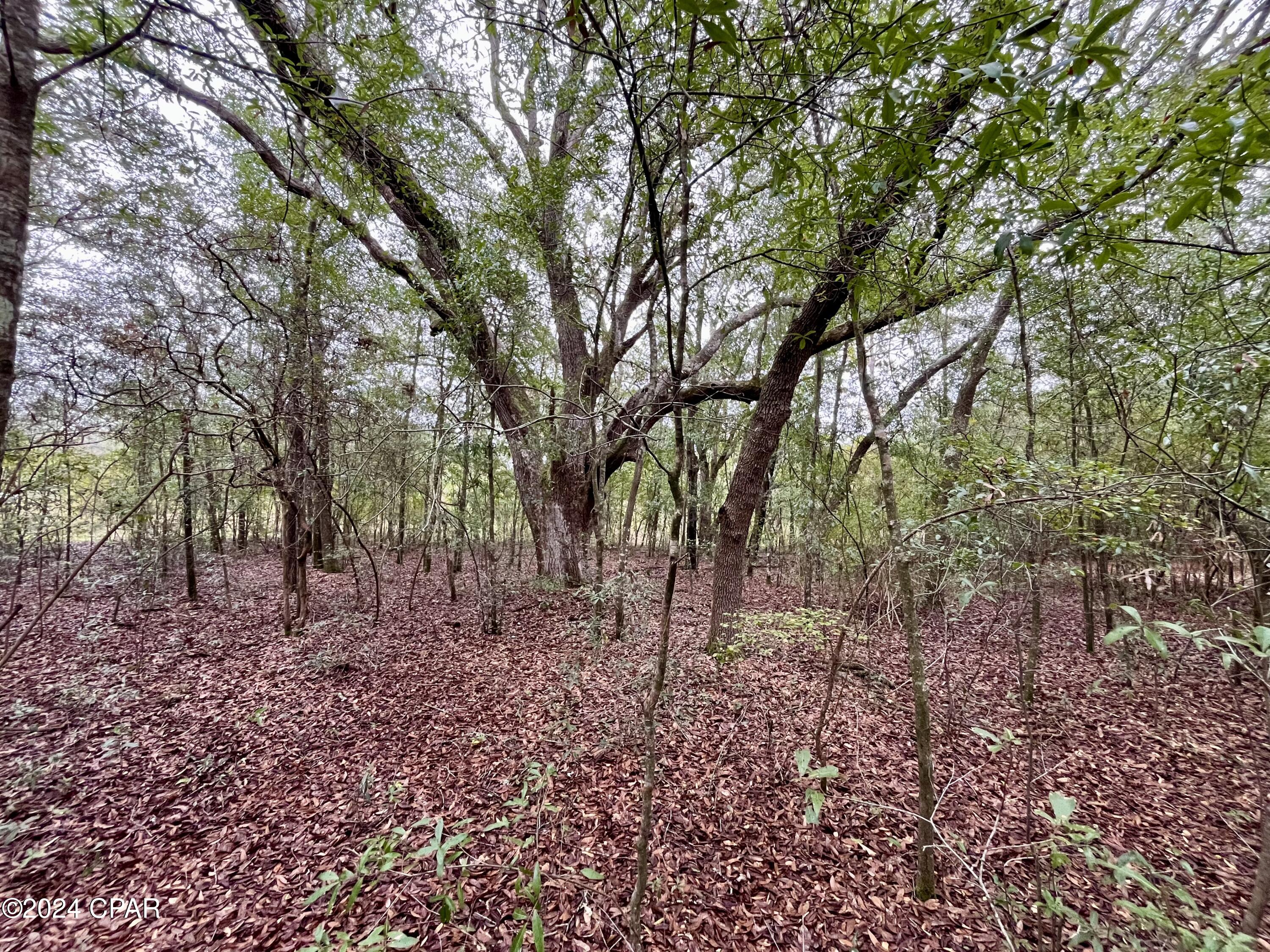 Pmc2pccslpznh Ae3yjihxqli2hnppva16tn26gnnh0