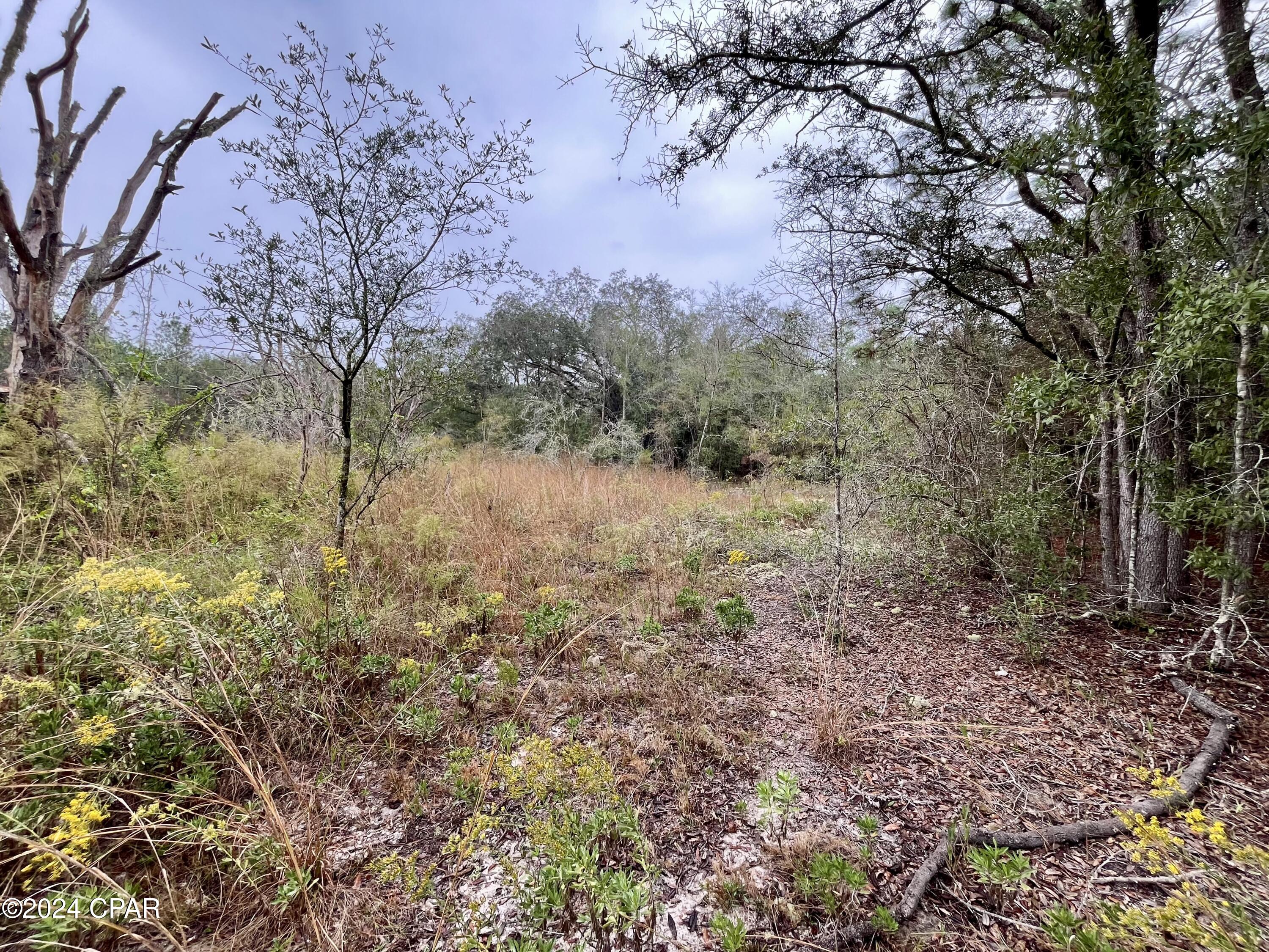 8lzh9nn7dapcivrh13c4dsmsxwi0yw03aeniq12a9wy