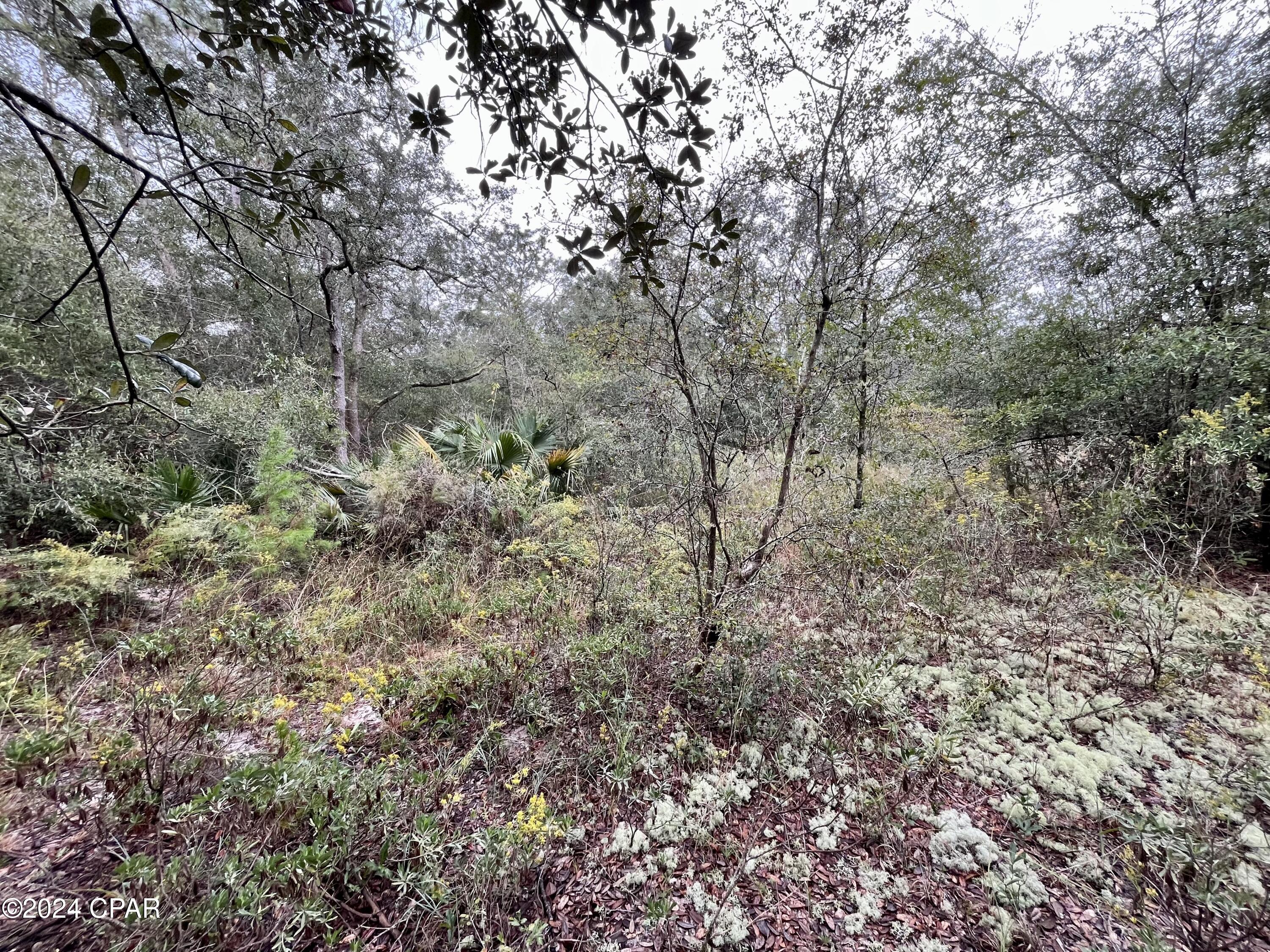 Rqqvz3jkv01xph6cxp41cj3c56nhxhvvu0ktqkggdew