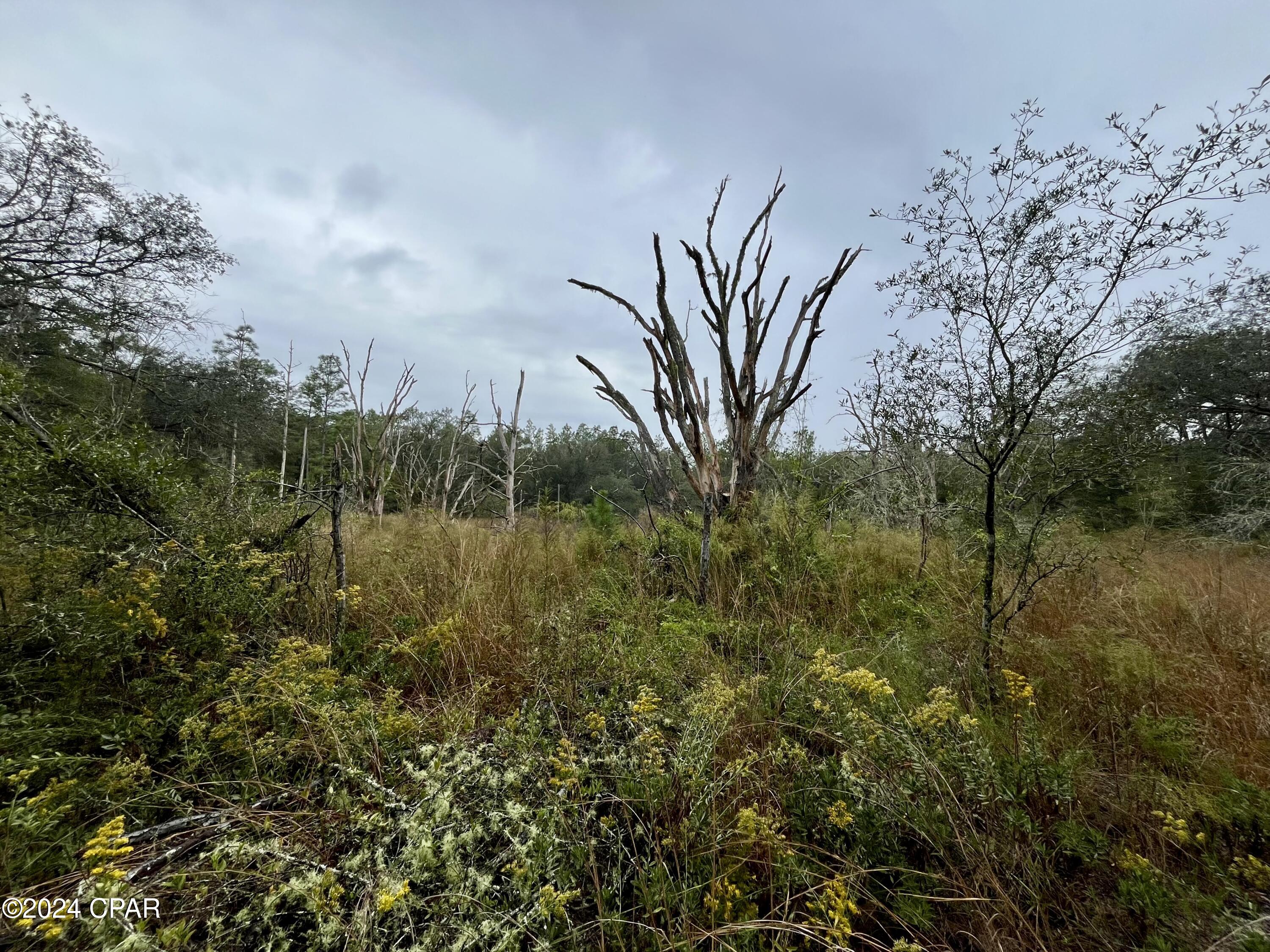 Y8ogeiu5cn4o5n2myocbtlcjir5jhxuovxvlbgftez0