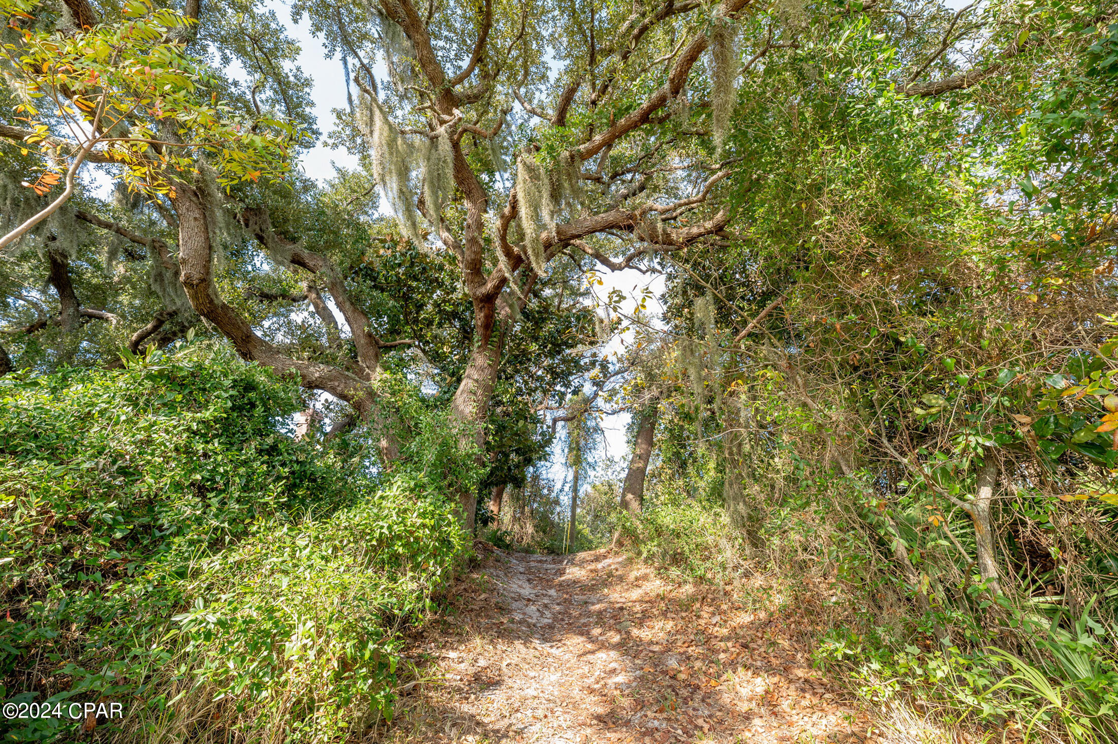 _aq7qjmy5n7potigte3hscgjgycehmeukjy5vfaxhbi