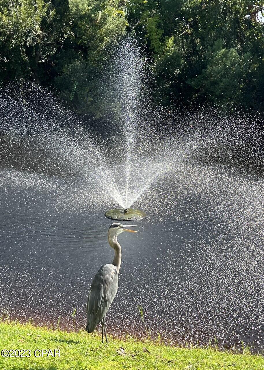 Cmew8ndf_wkcgaeuptlnyfrbc9h4btqfrwwucw66qpe