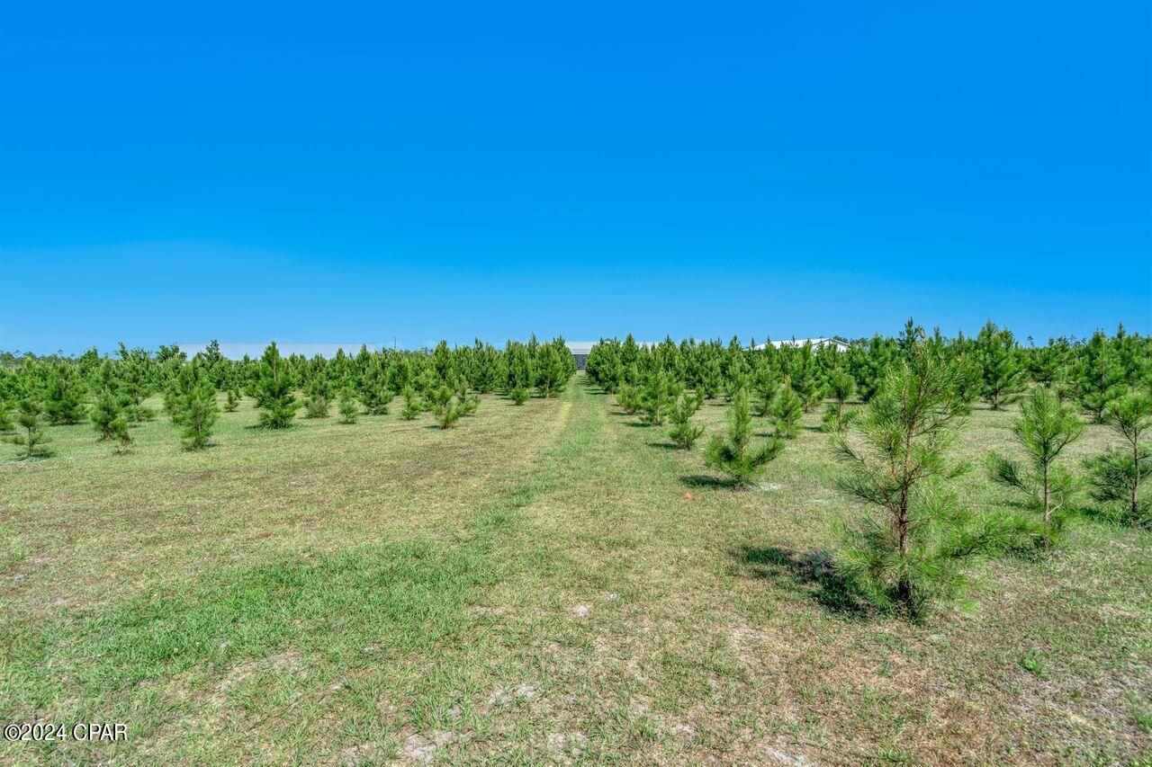 Image 37 For 4622 Cherokee Heights Road