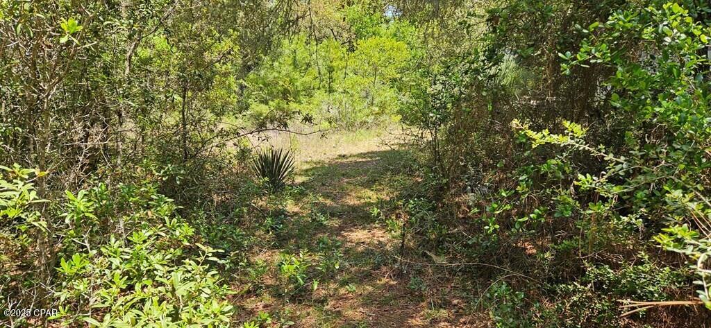 P2qhaql3hkfnsya1mjccxpotln03efjajzomzkugpes