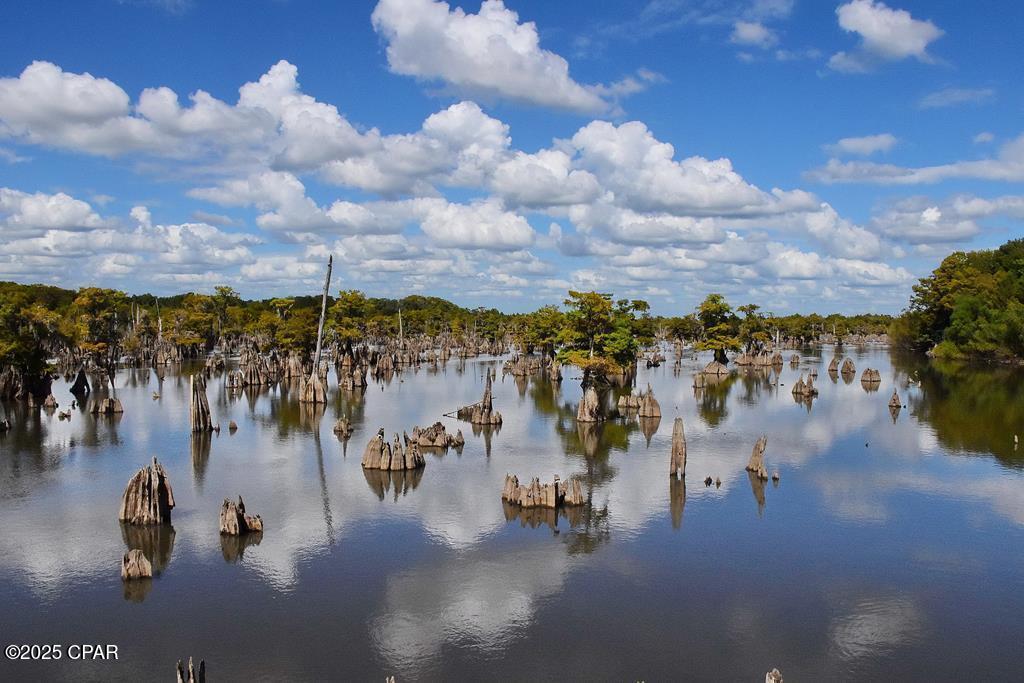 Image 7 For 000 Cypress Court