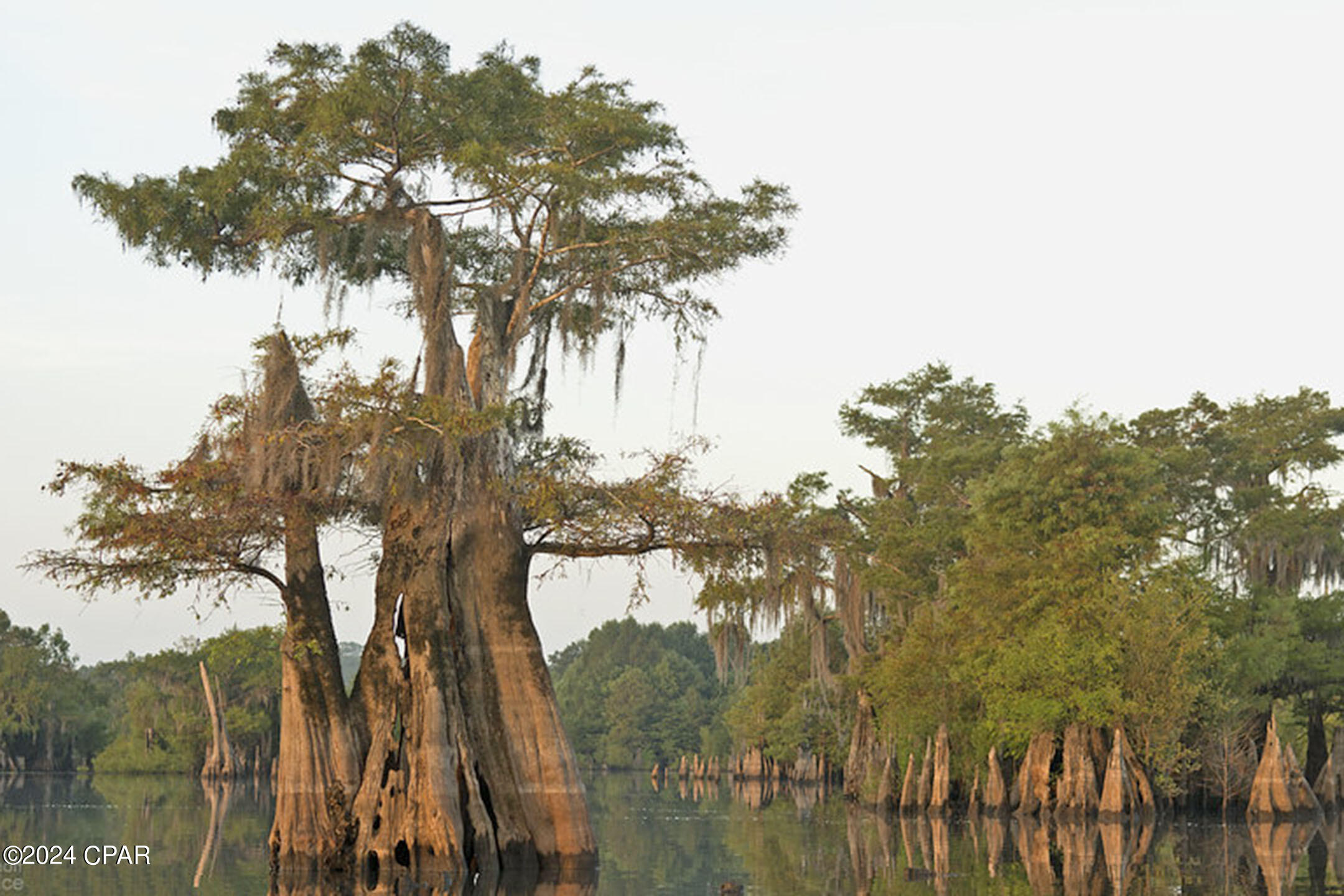 Fmudm6jvvjylws7mtupxxyt_jrlizxtm6bkdo4vv7lu