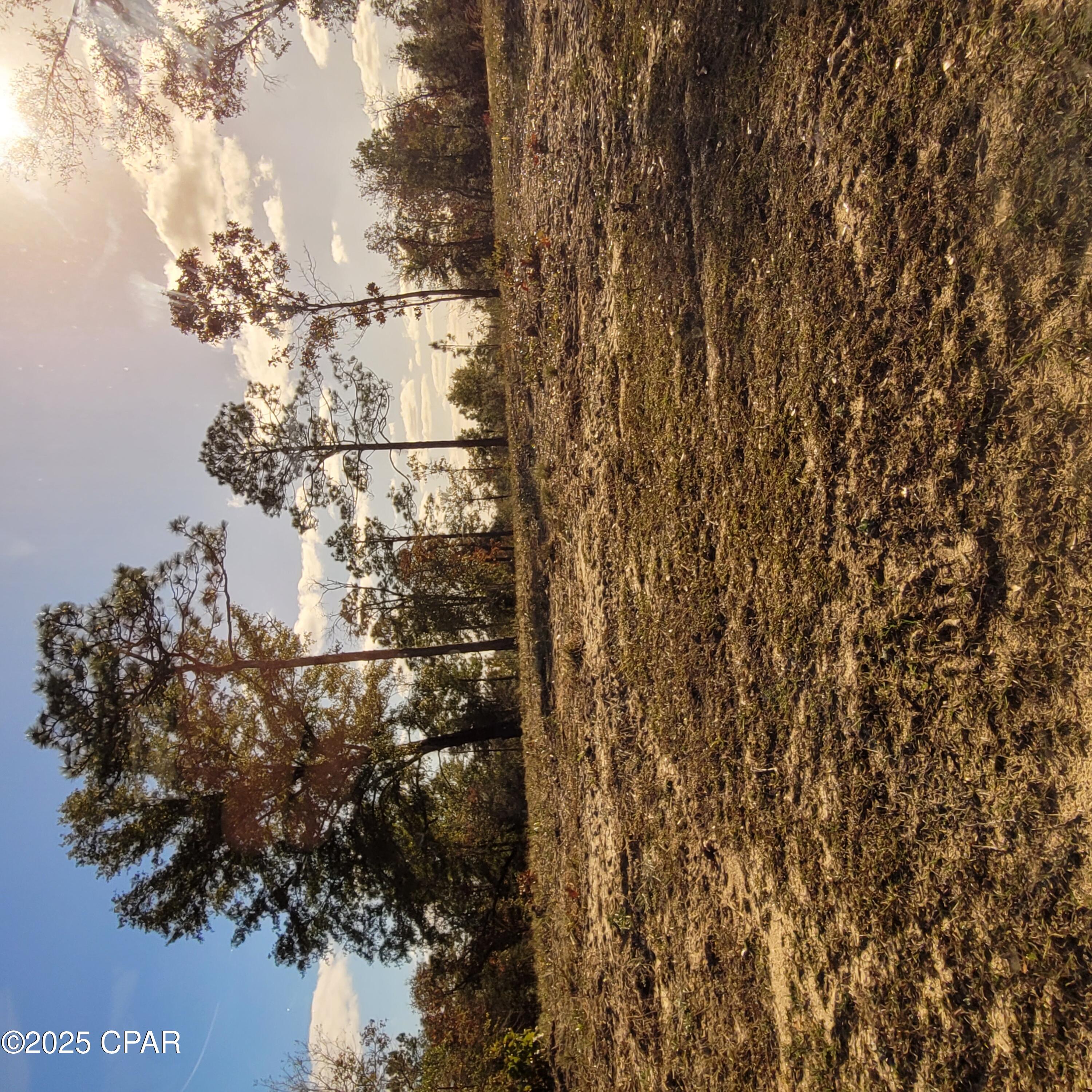 0kqyr03oyi08tj13cxc29w9dac_ Mt7dxsegvsdvnls