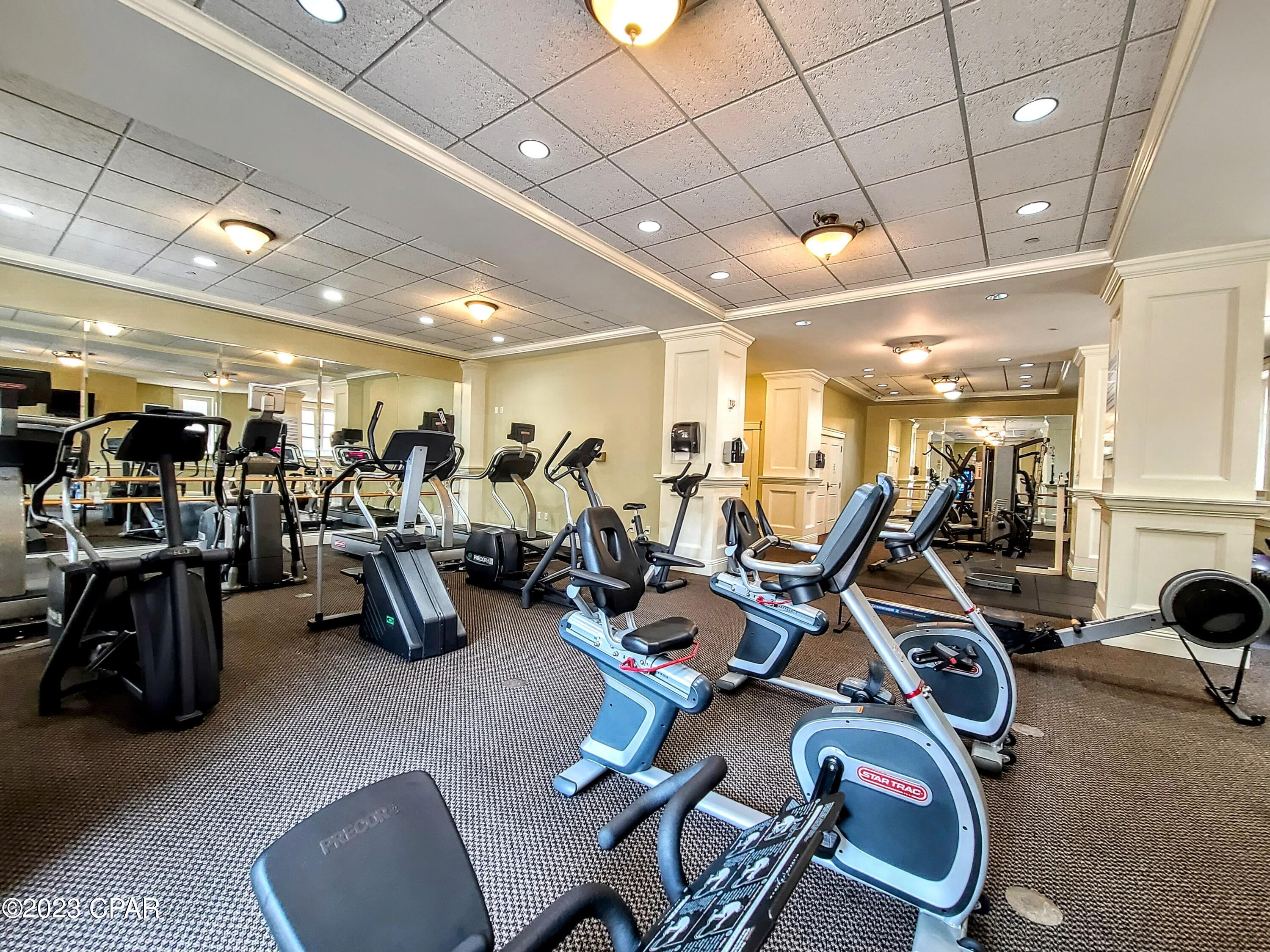 Pq7g3busea Lvnlvdr3ugy8pgwbzp D6amp Monrypi