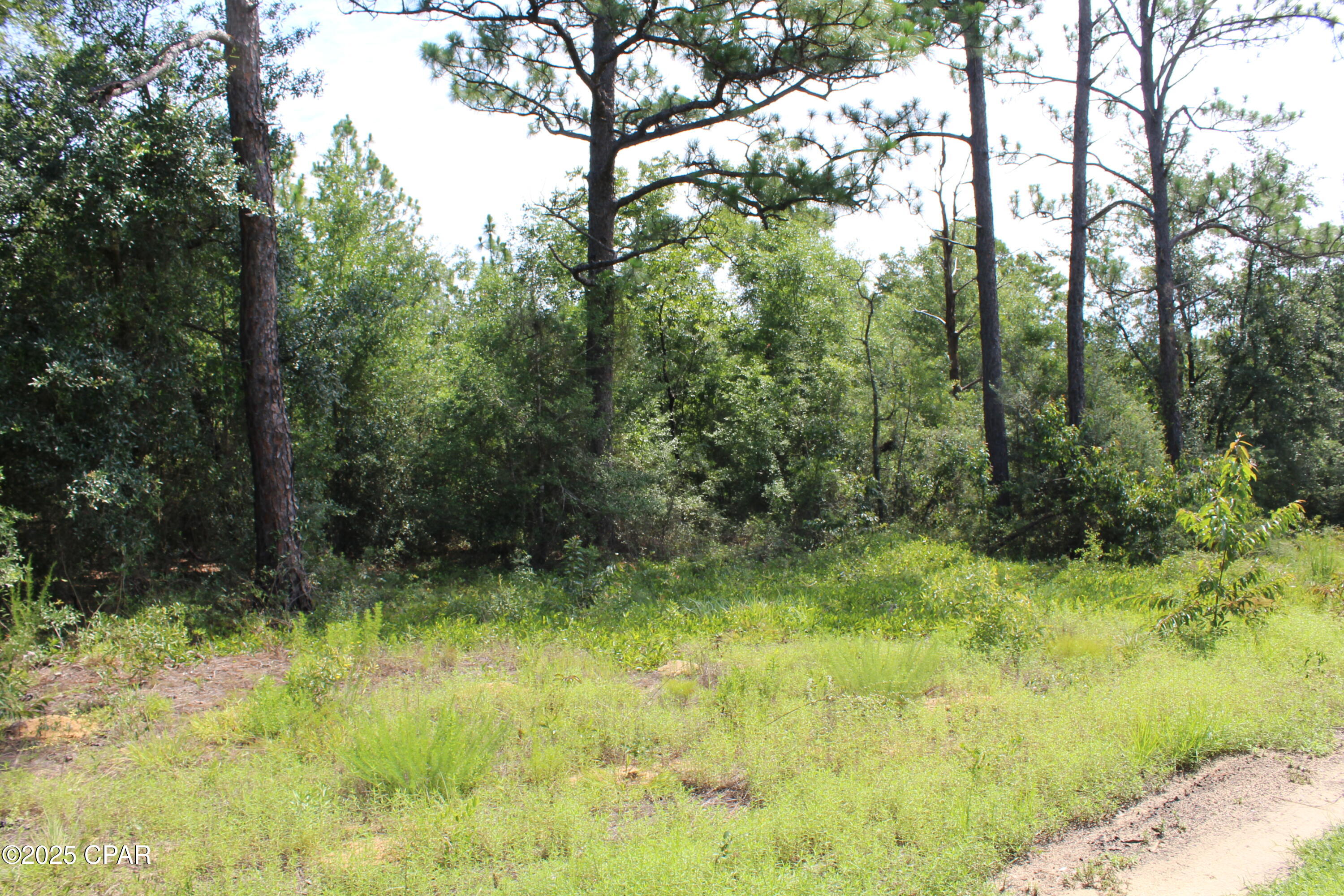 Ioc137bp_uo42jmxdxs73 2sanilrb2clb6djdg1inq