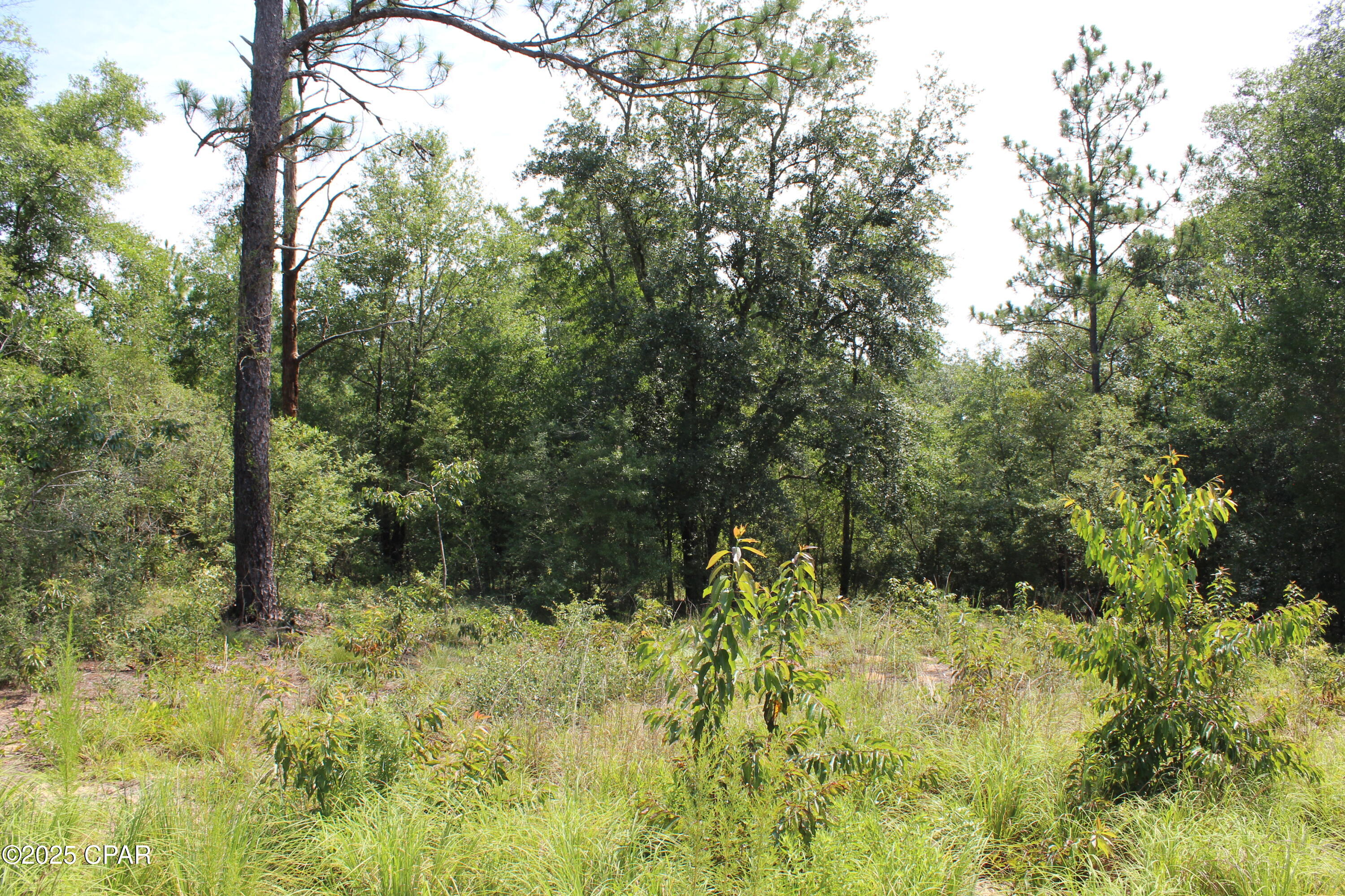 Cdkbhnxlrjp Uqzy7wjcjymxdx7oghyzxfcnyjwppye