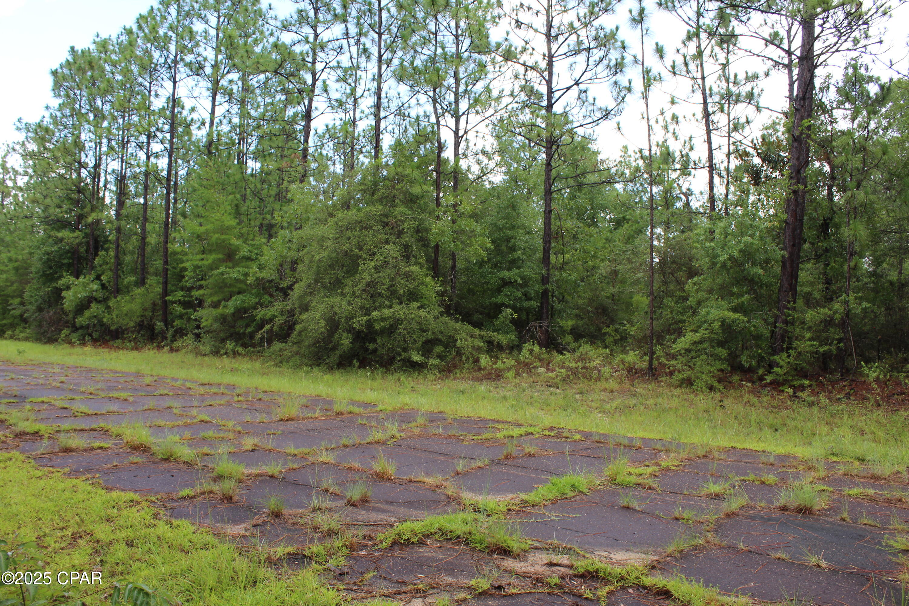 Nip _qfswl3jvogf_jlfzc8doodr_px1w5_vab_yods