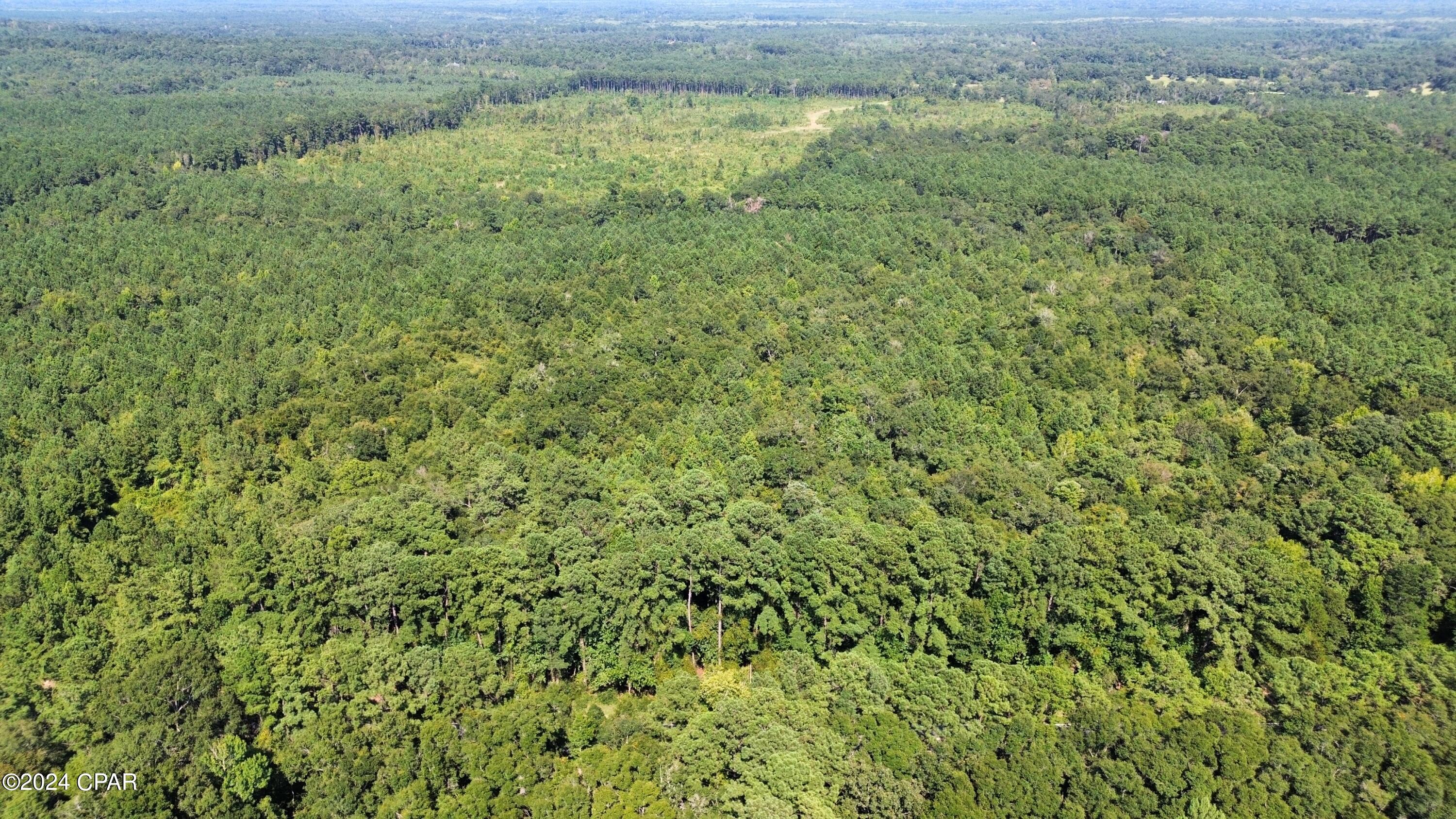 Bfx6sdja8hmgxhxblf8hzsncmy3ew3sv41autkbmins