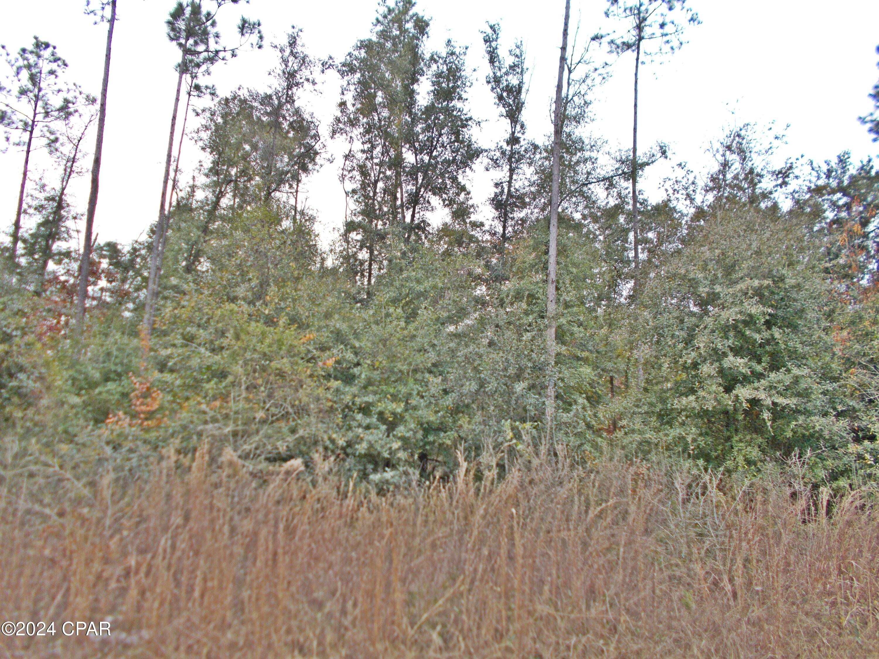 Agxdzuluyri3czedxvsiwykkcfyjiobw1c Px2pljvi