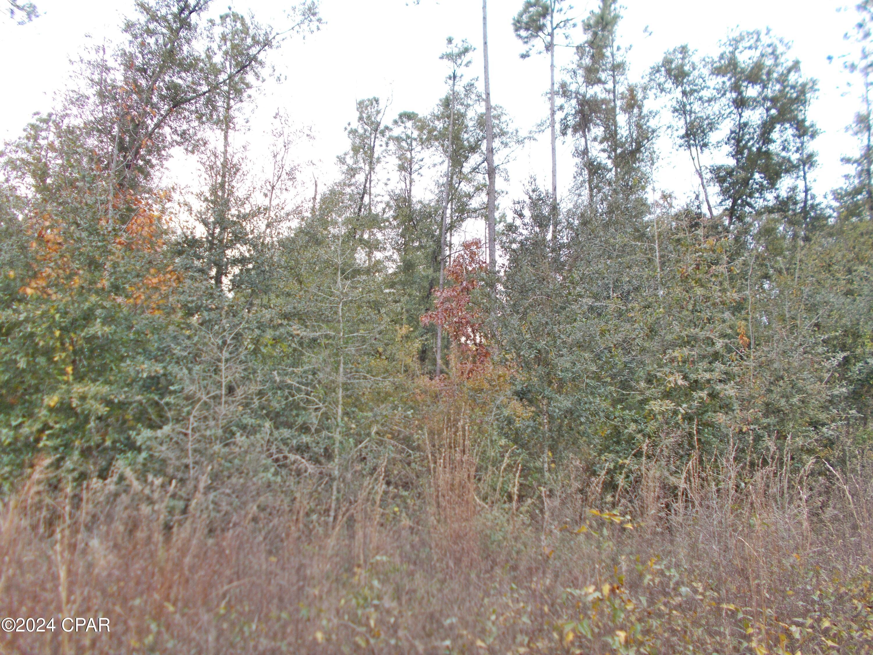 Fgm_c7ithveo7s_gmmpwwg3hojjh1gdgdls3d_jm_4o