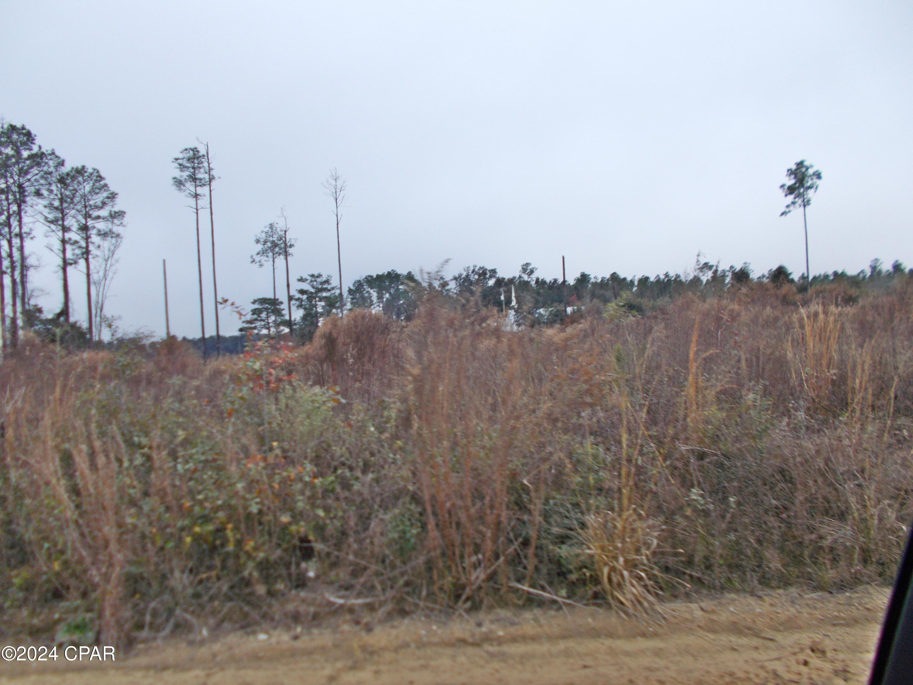 Pkykycce9bl1lf2chrt1txj6 2 S0p00aw1vz_f7pvw