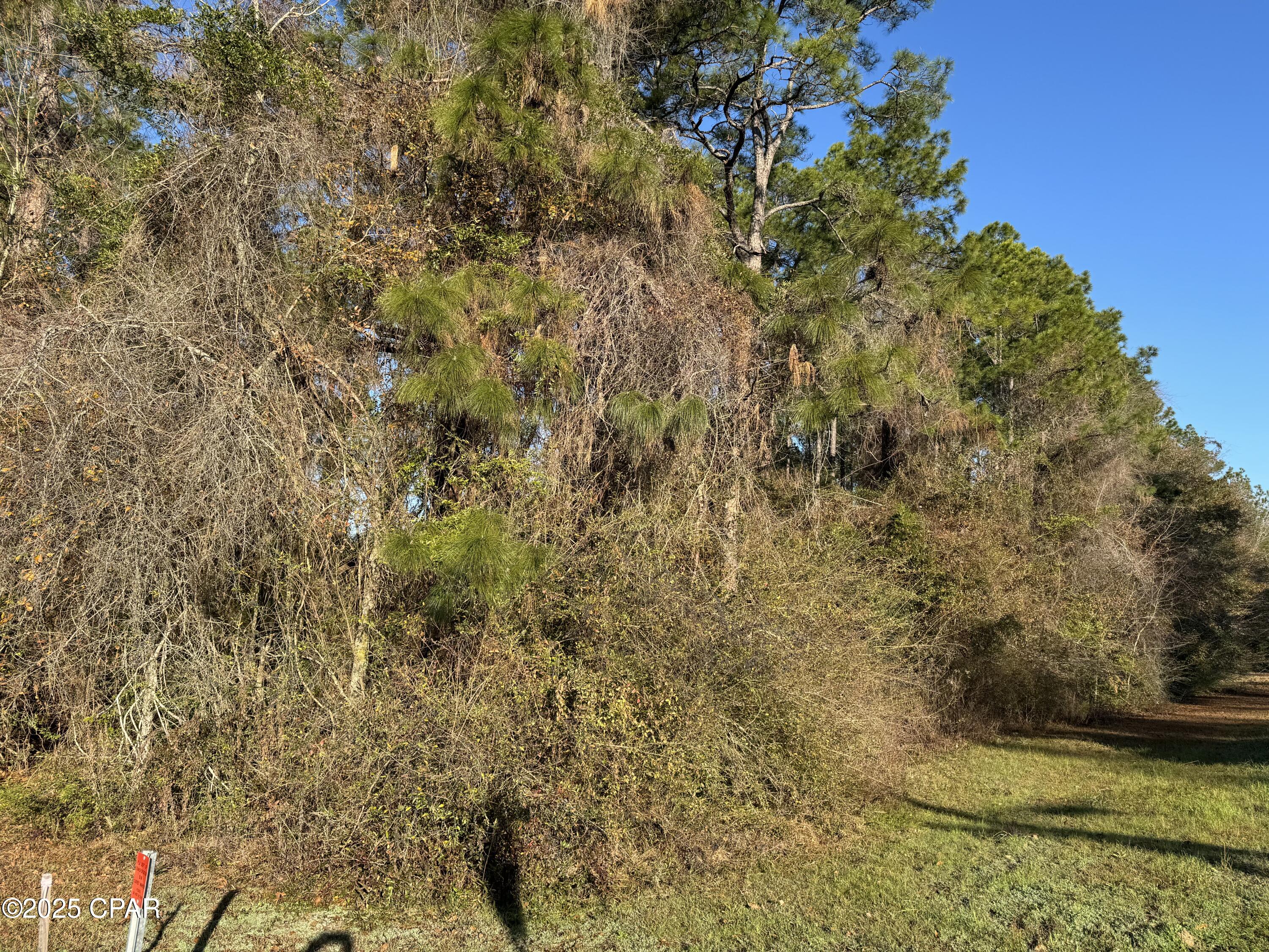 Eh9lzjyuvgbru99civez33vgmglk_yicniagf5frxhm