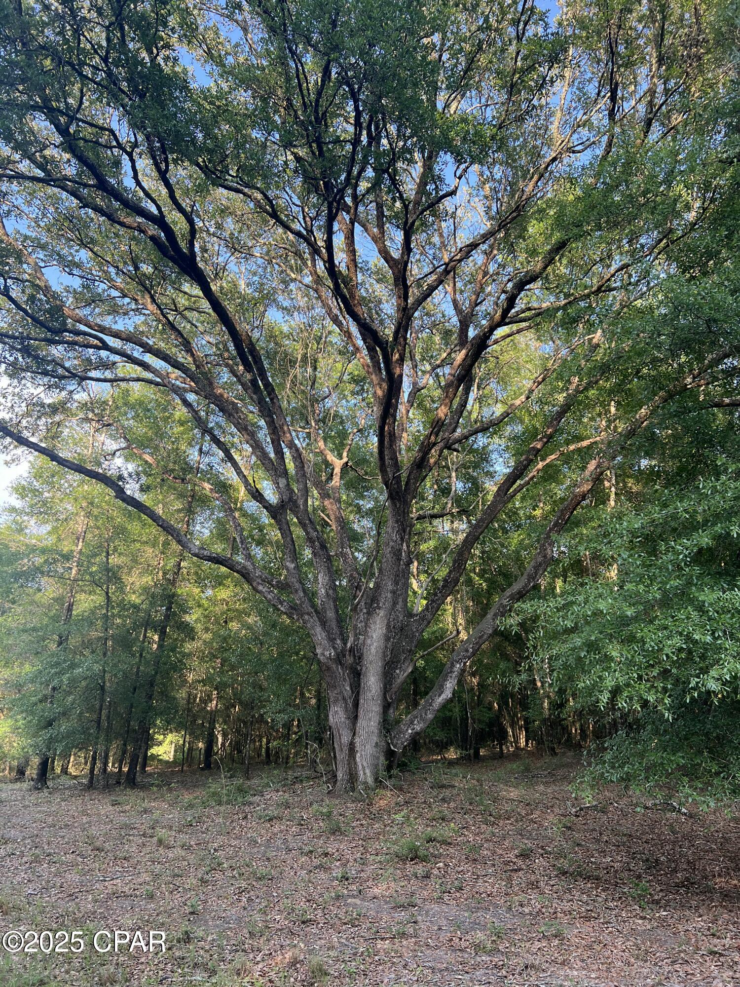 Nhoeqkhzywg9k2zgkty8qz_j1yvb3crca88l Jwh Ls